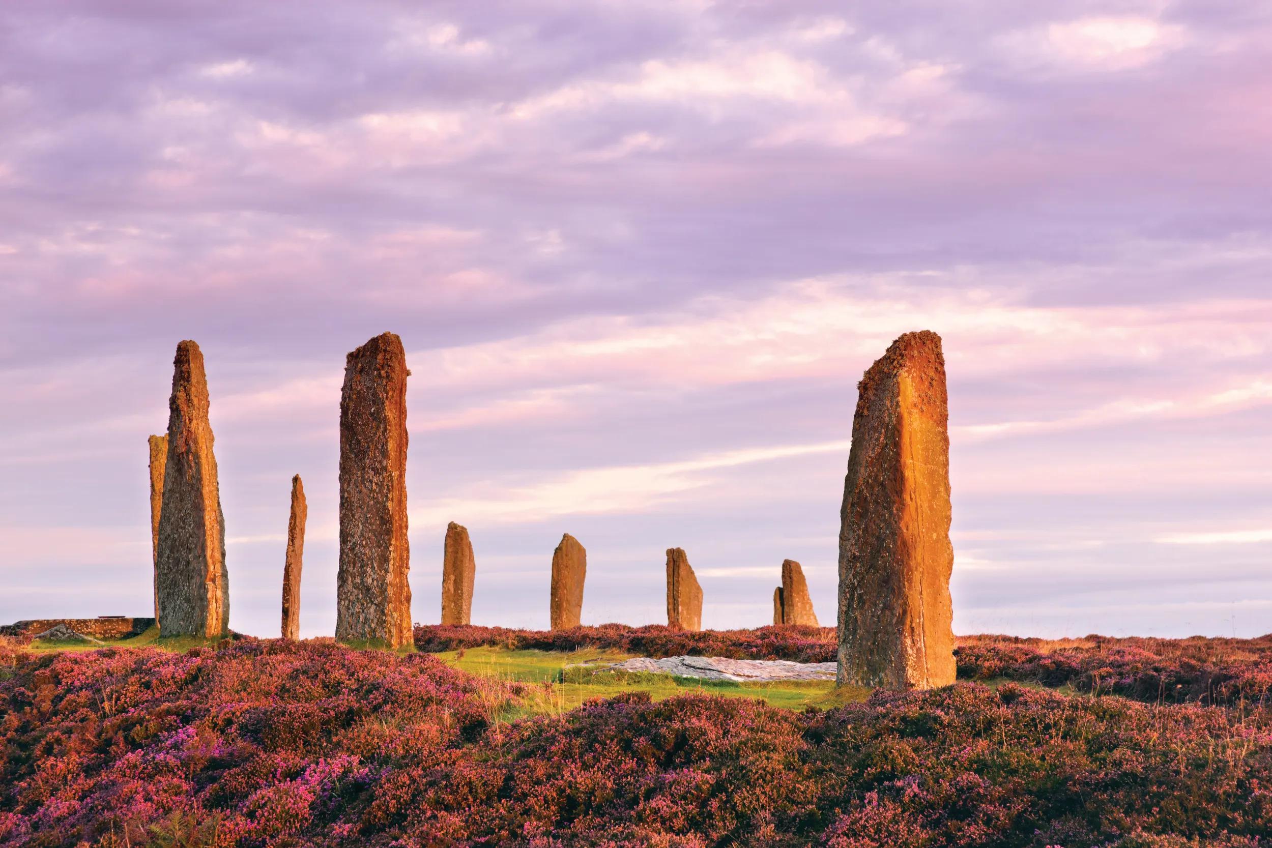 The ancient standing stones of the Ring of Brodgar in the Orkney Islands off the north coast of Scotland, in the early morning just at sunrise. This monument in the heart of the Neolithic Orkney World Heritage Site is believed to have been built between 4000 and 4500 years ago. Originally built with sixty stones in a circle over 100 metres (over 100 yards) across, fewer than half of the stones still stand. The tallest of the stones is a little over 4.5 metres (15 feet) tall.