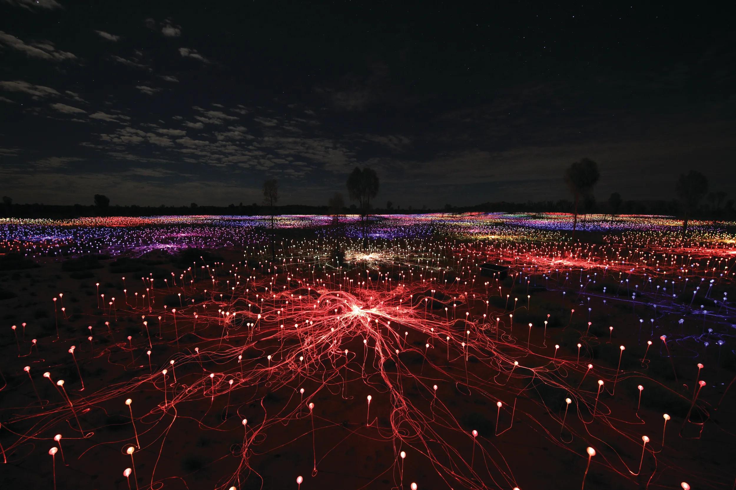 Image credit: Field of Light, Uluru, Bruce Munro 2016 | Photo by: Mark Pickthall