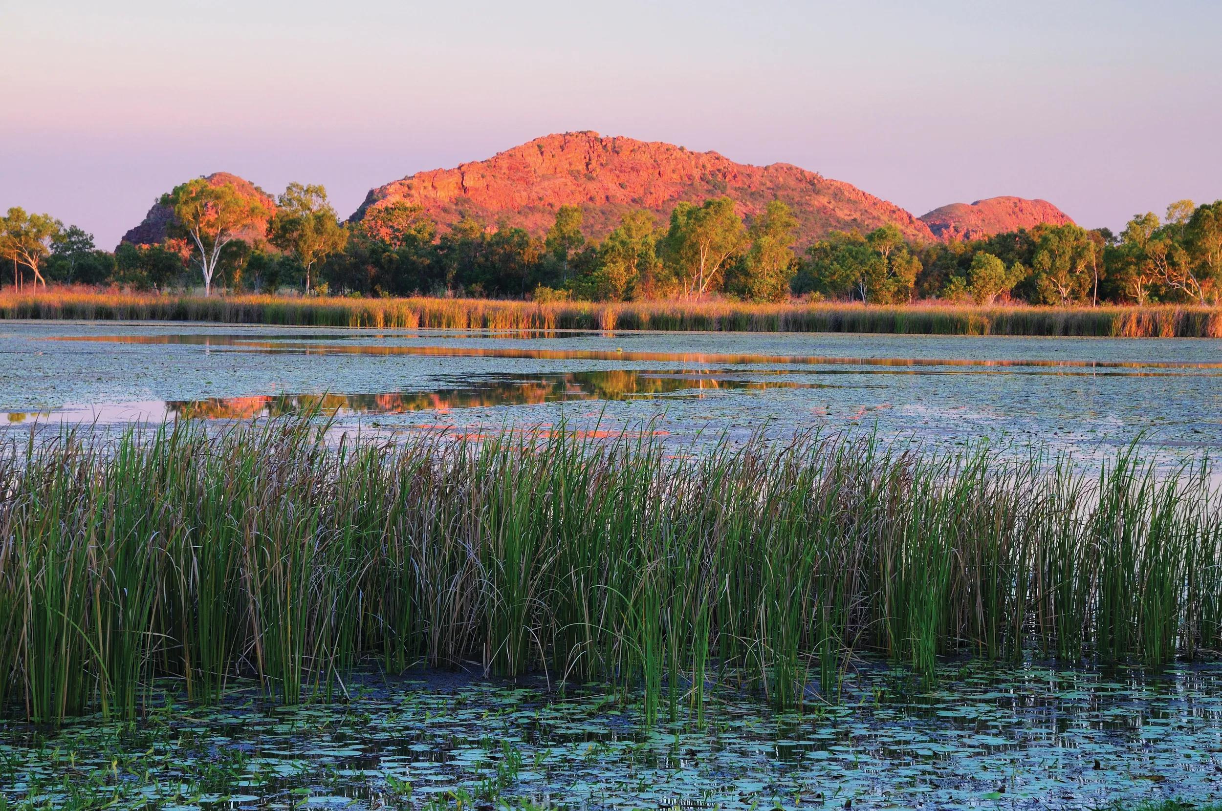 Geographically limited to use in Australia, New Zealand Canada, USA and UK. IMAGE EXPIRES 20/04/2023