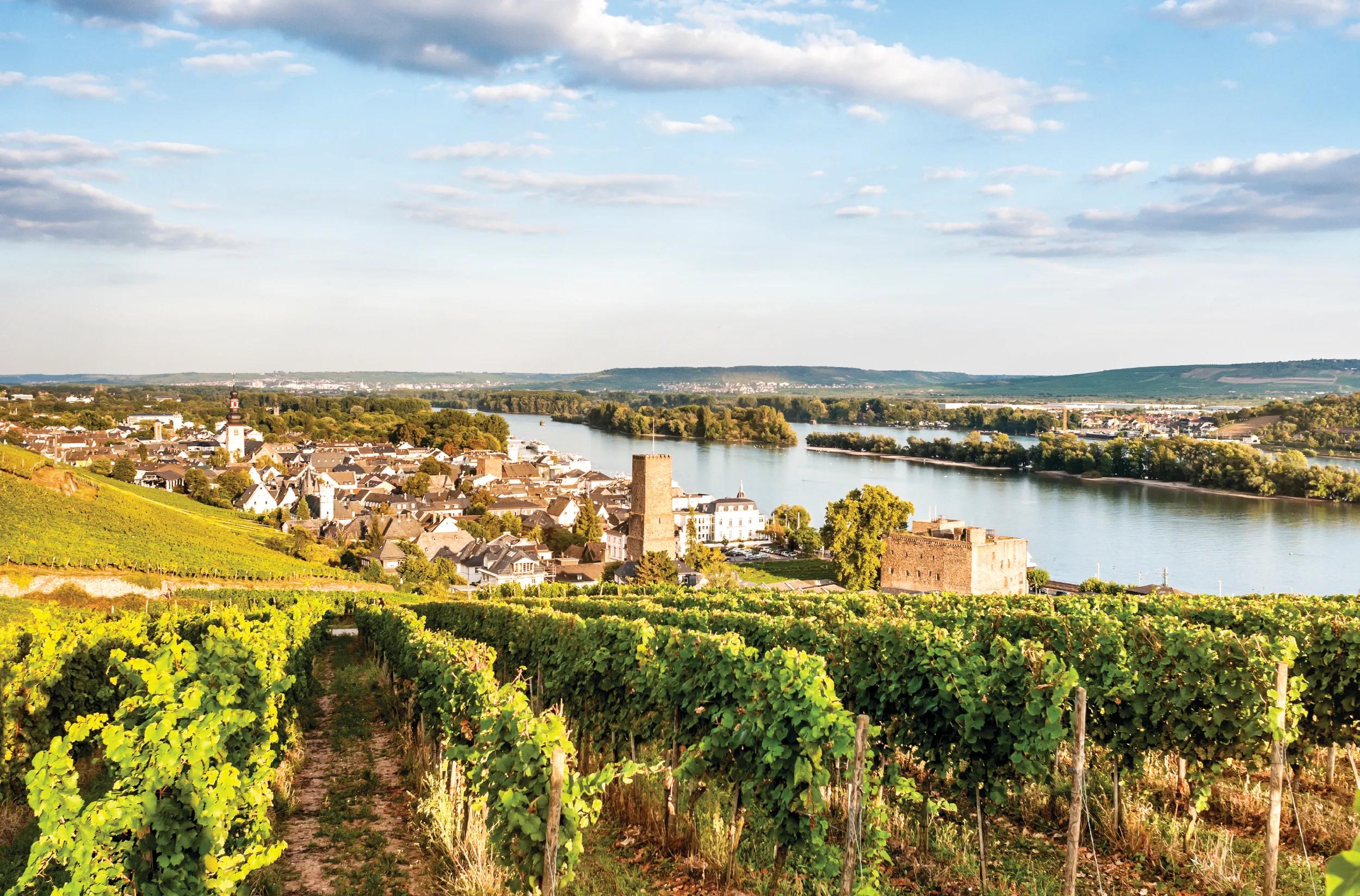 City of Rudesheim in Germany before the sundown