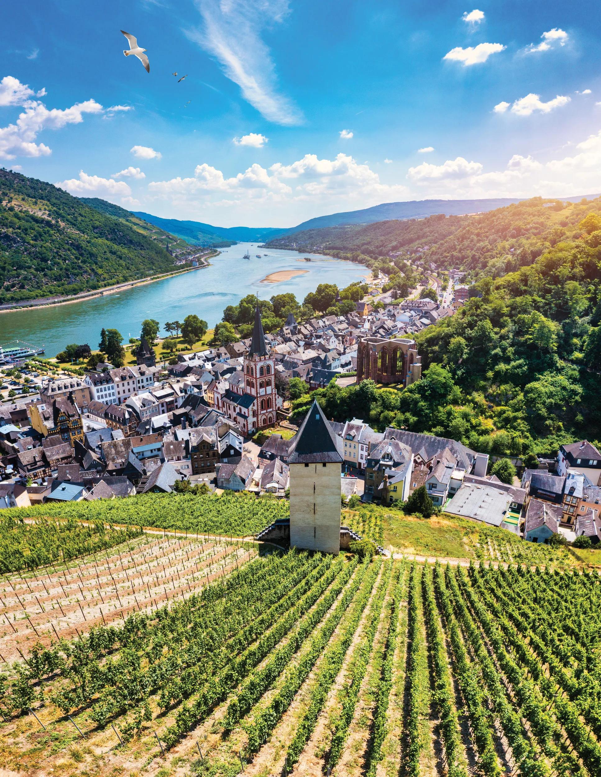 Bacharach panoramic view. Bacharach is a small town in Rhine valley in Rhineland-Palatinate, Germany.