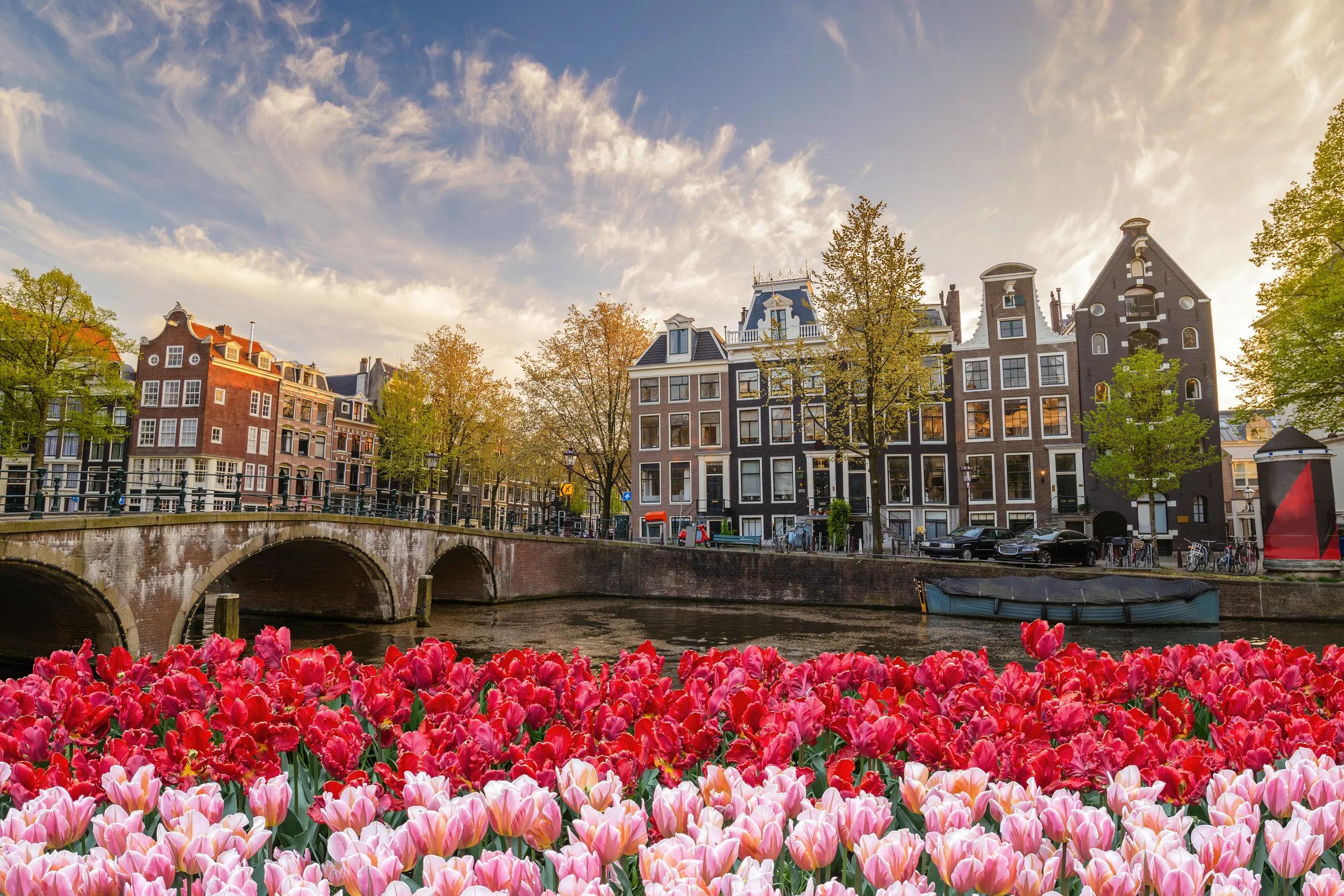 a-eu-netherlands-amsterdam-tulips-110512396-dt