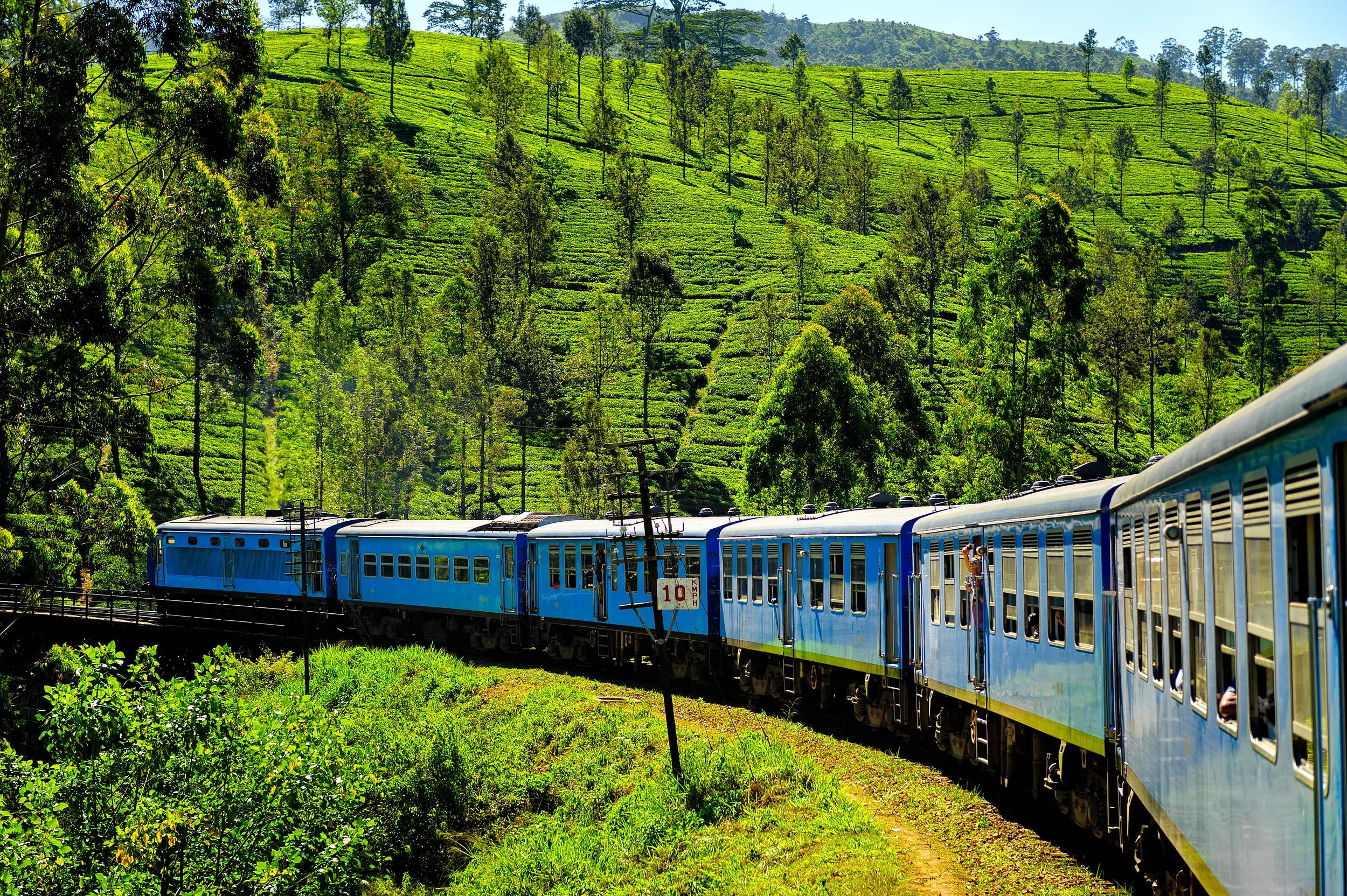 close-up view of the tea plantation train in haputale, sri lanka