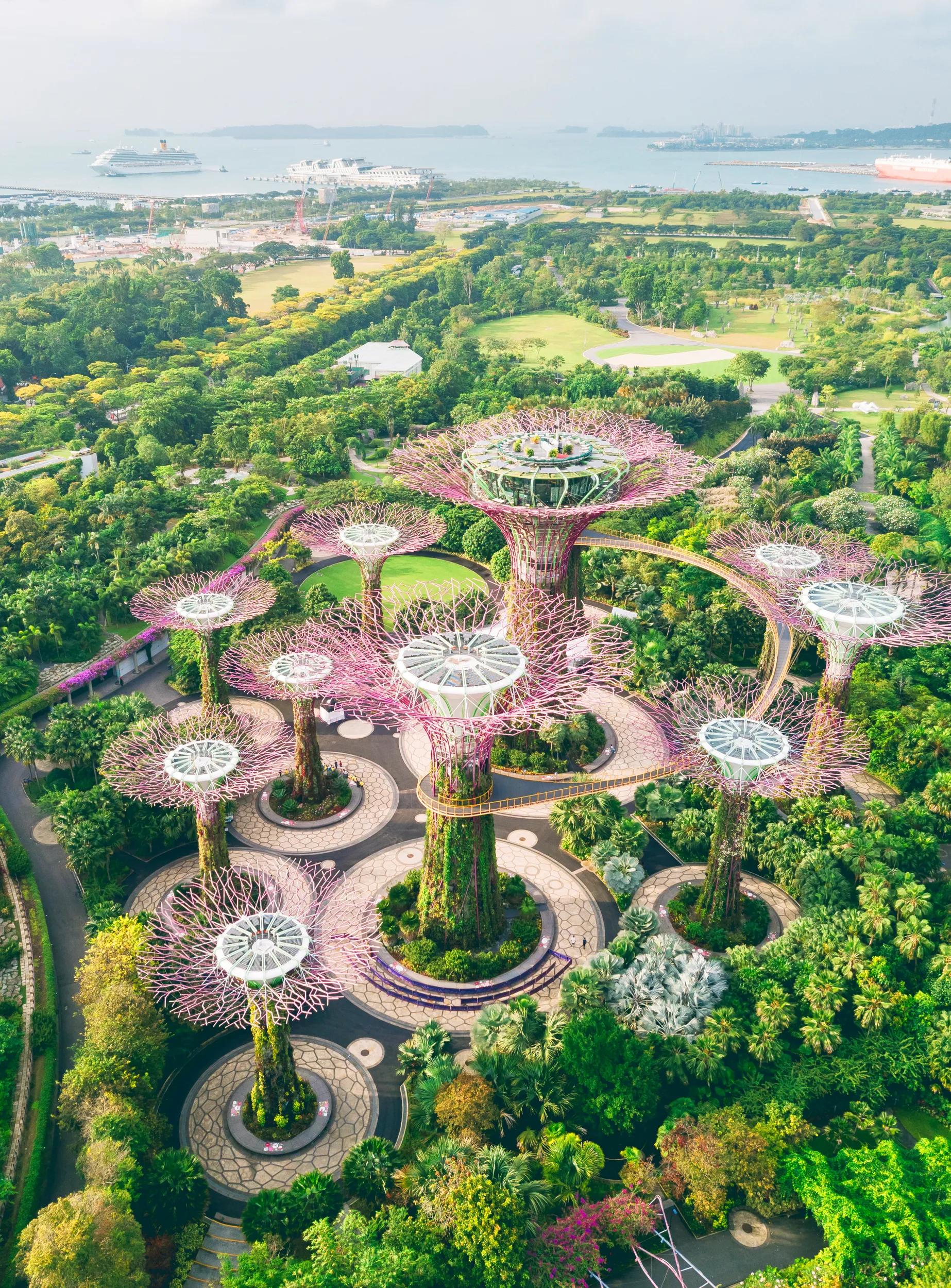 Aerial view of the botanical garden, Gardens by the Bay in Singapore.