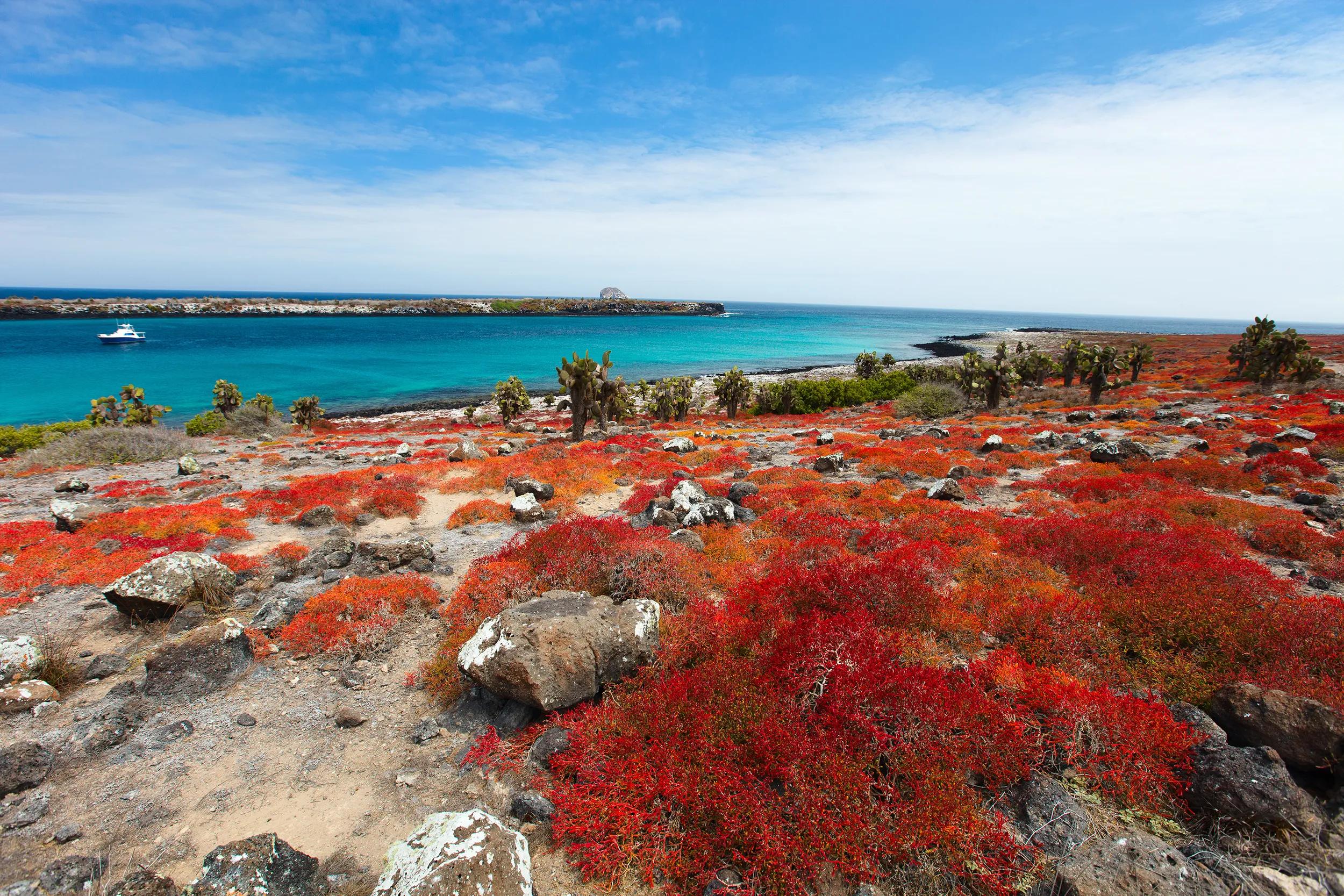 Beautiful landscape of Galapagos South Plaza island