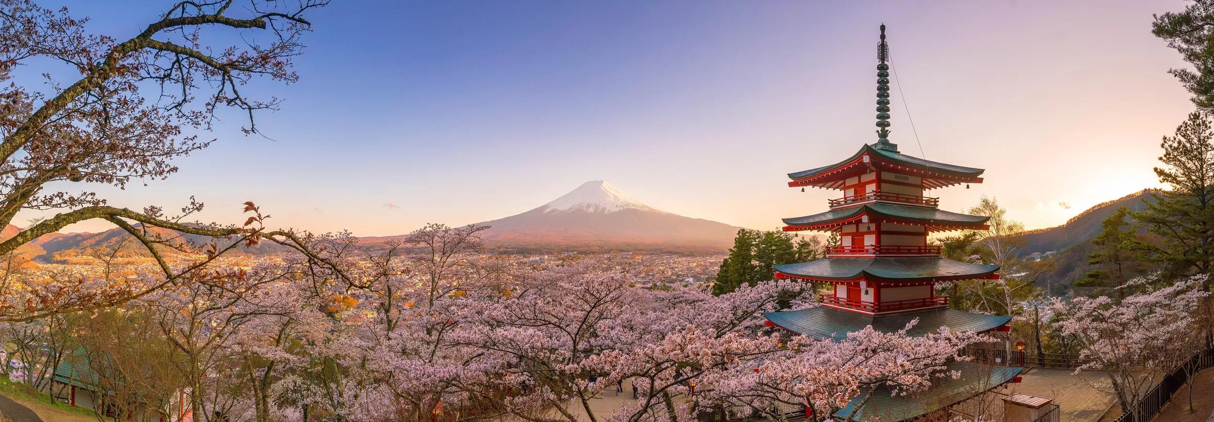 Mountain Fuji and Chureito pagoda with cherry blossom (sakura) in Japan at sunset