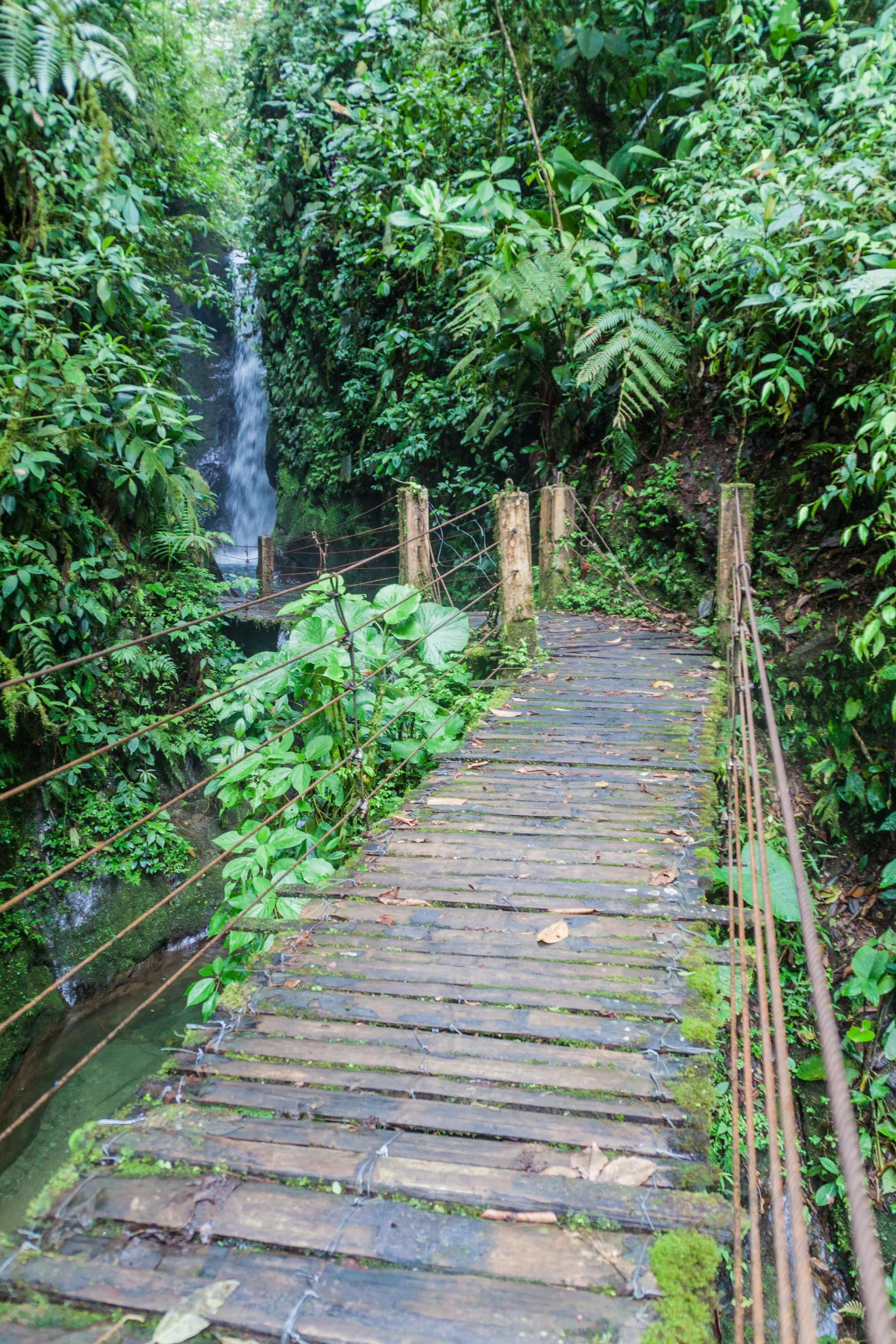 Bridge to a small waterfall in Nambillo Cloud Forest Reserve near Mindo, Ecuador.