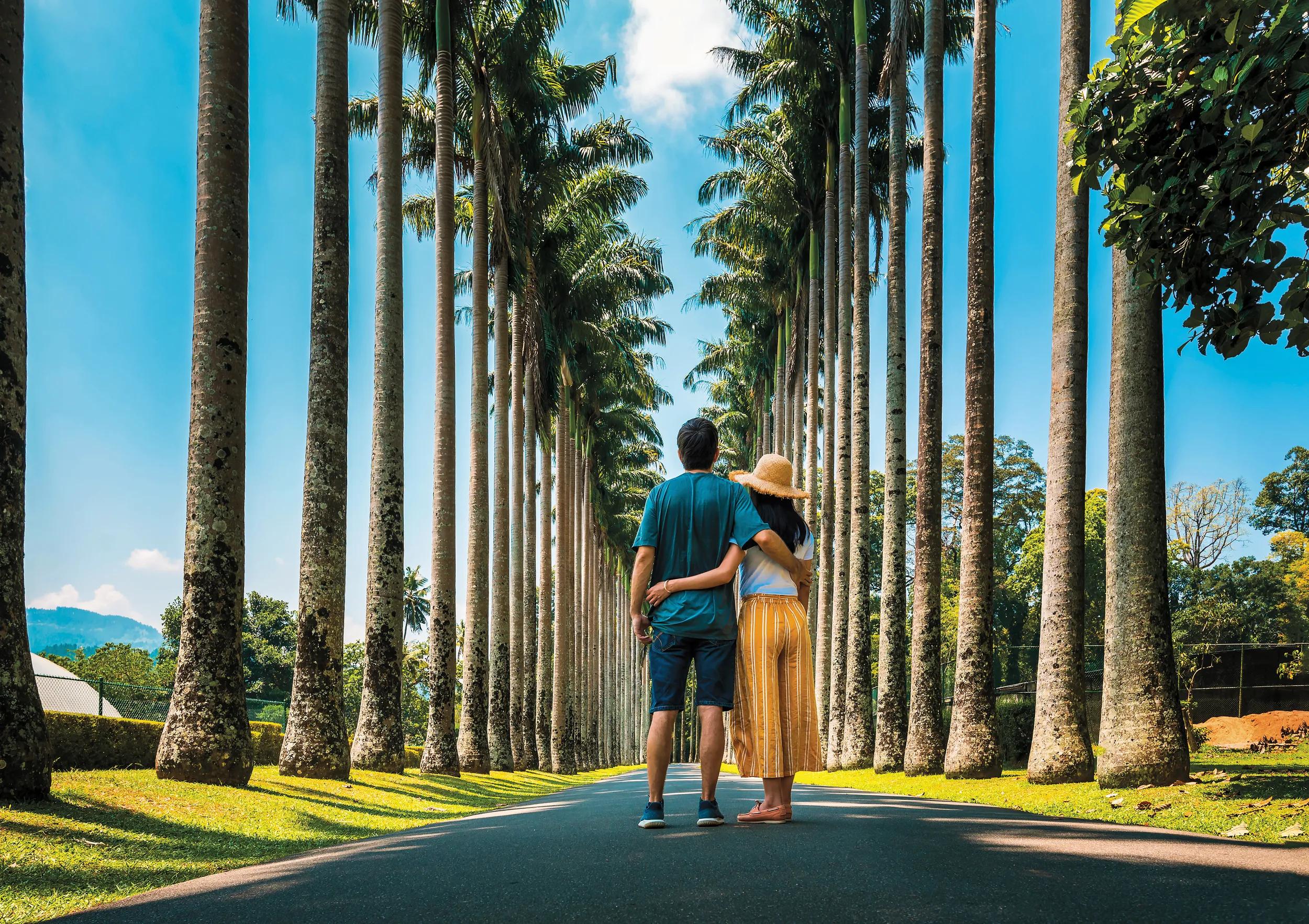 Couple visiting palm alley at Royal Botanical Gardens in Kandy Sri Lanka. Asian tropical landscape travel scenery