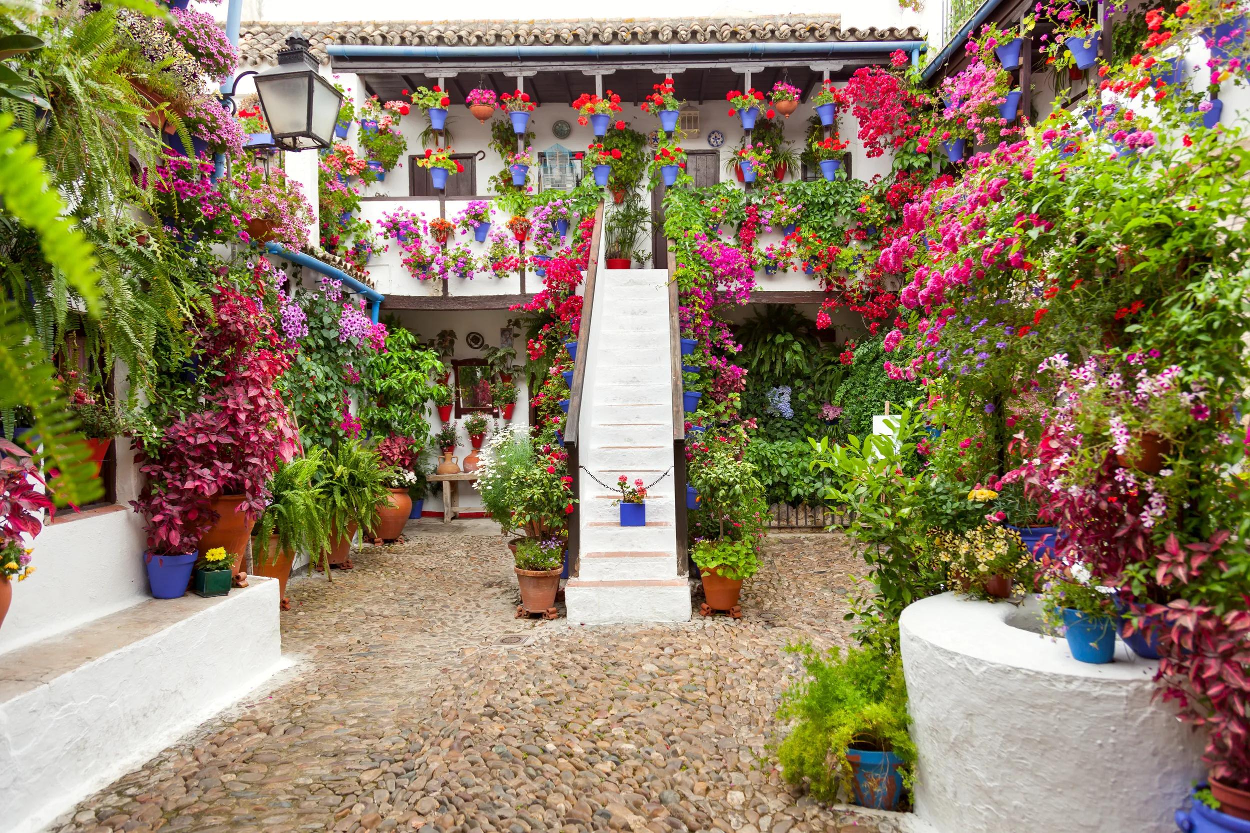 Courtyard with Flowers decorated  - Cordoba Patio Fest, Spain, Europe - 10 of May, 2013