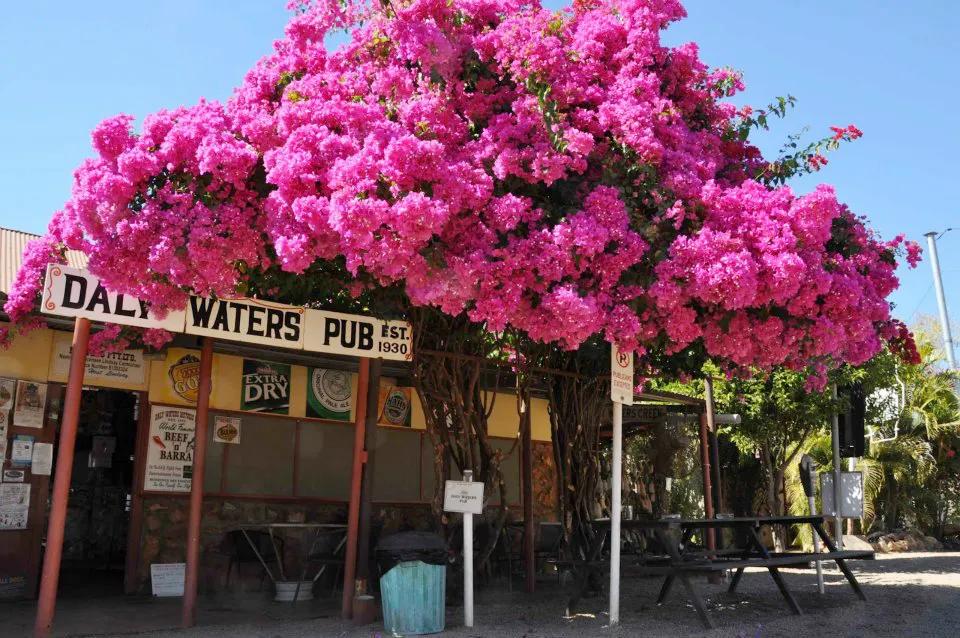 Daly Waters Pub, NT.