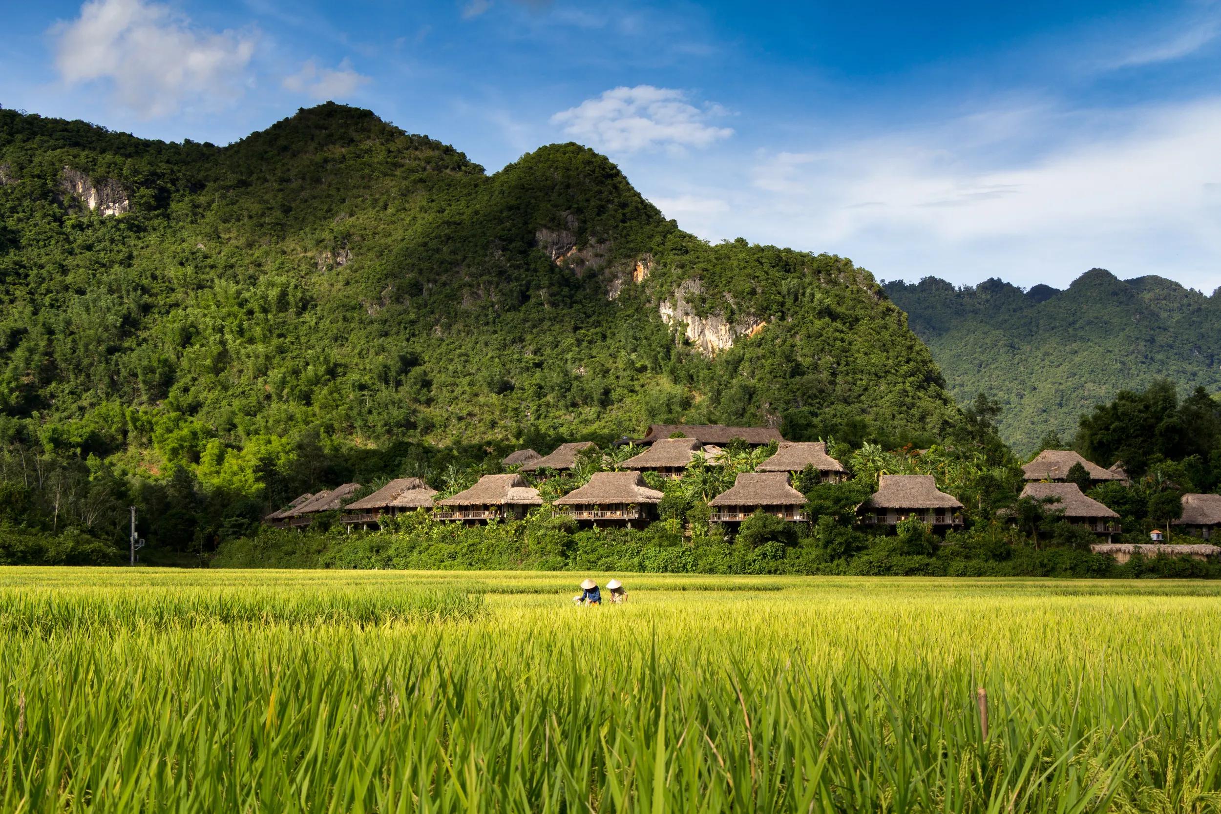 Mai Chau Ecolodge viewed from the surrounding rice fields in Mai Chau Vietnam.