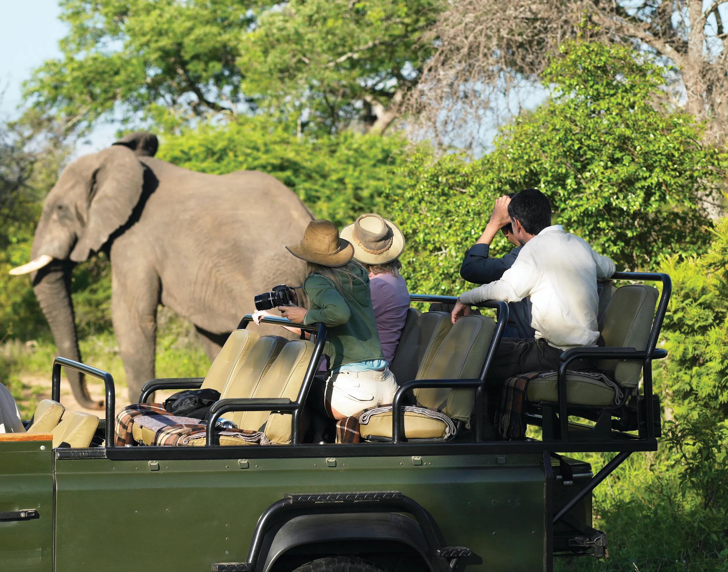 A group of people in a vehicle watching an elephant.