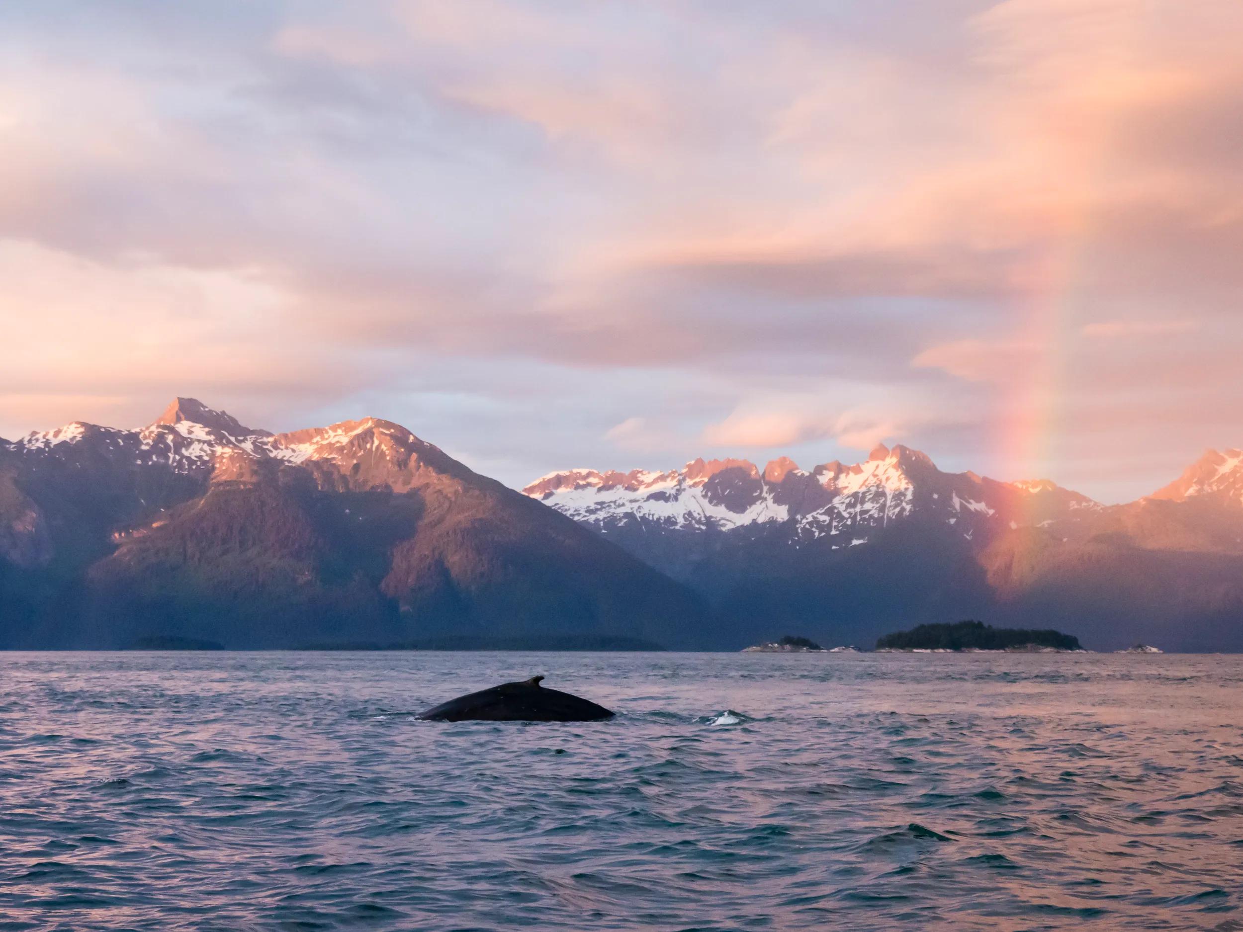 t-causa-alaska-glacier-bay-national-park-1173577393-g