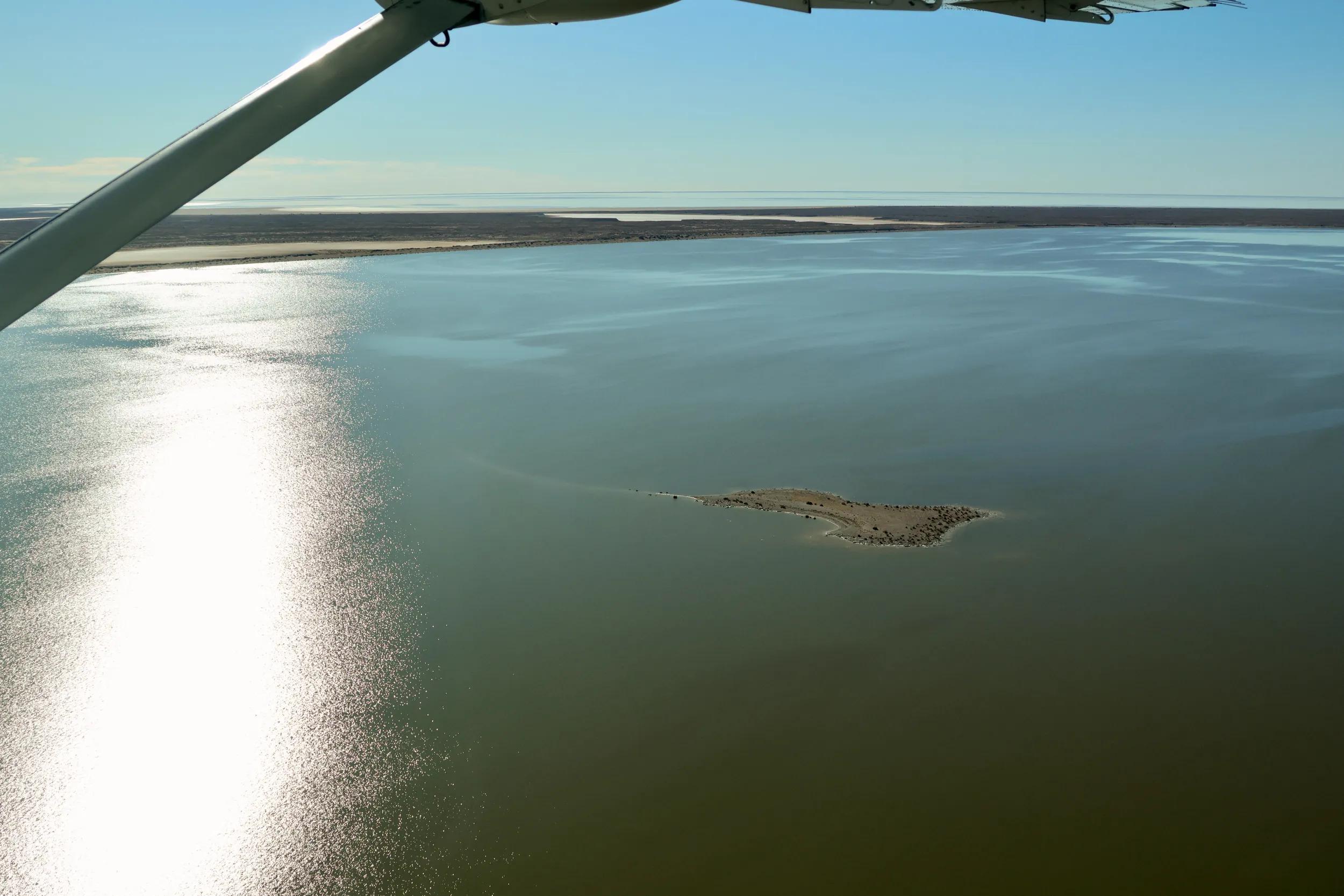 Image provided by guest Wayne Gill for APT digital social and marketing platforms only.