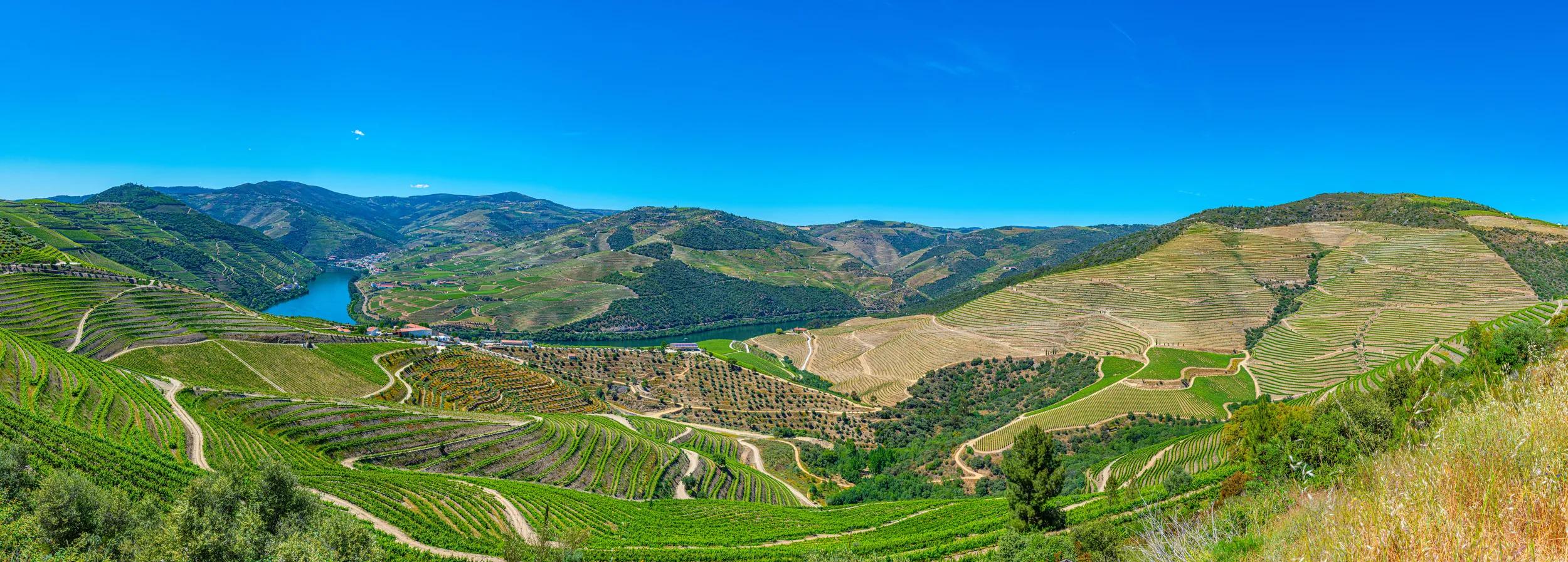 a-eu-portugal-douro-valley-vineyards-1579957939-s