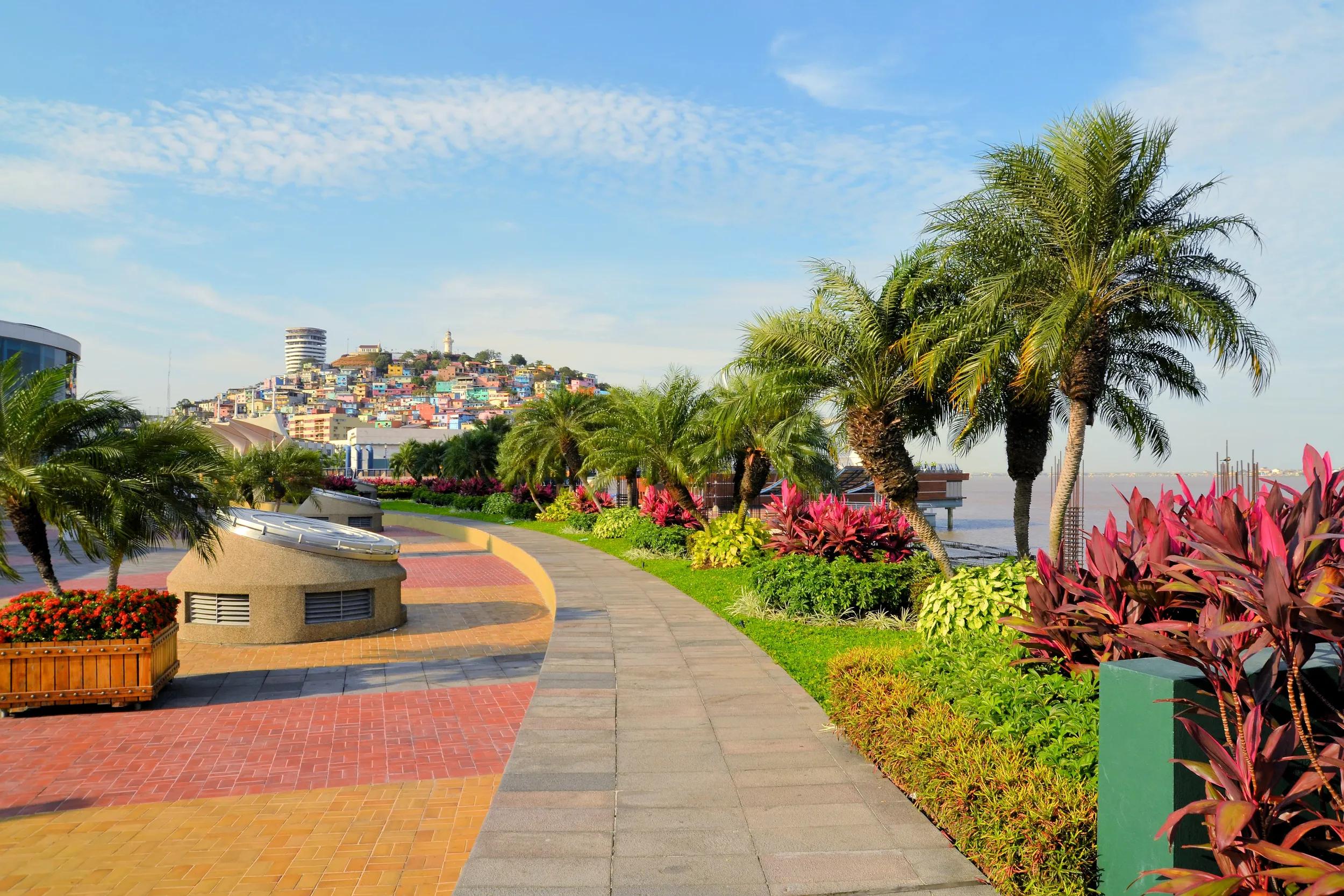 t-sca-ecuador-guayaquil-garden-colourful-buildings-46887738g-rf