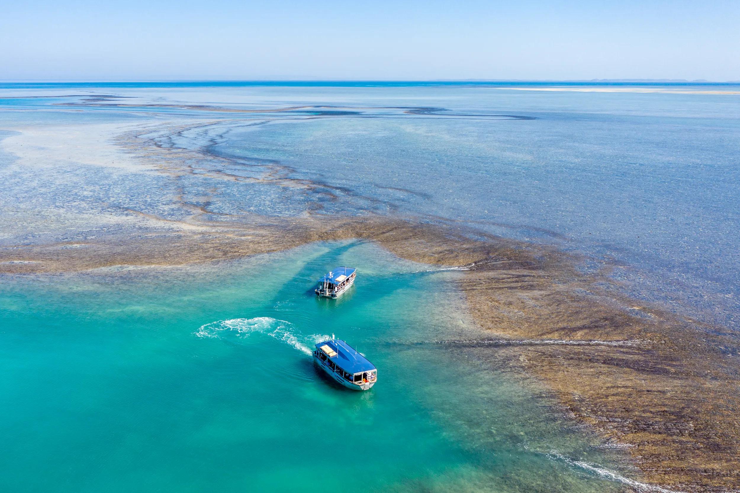 Coral Expeditions Xplorer tender, aerial view.