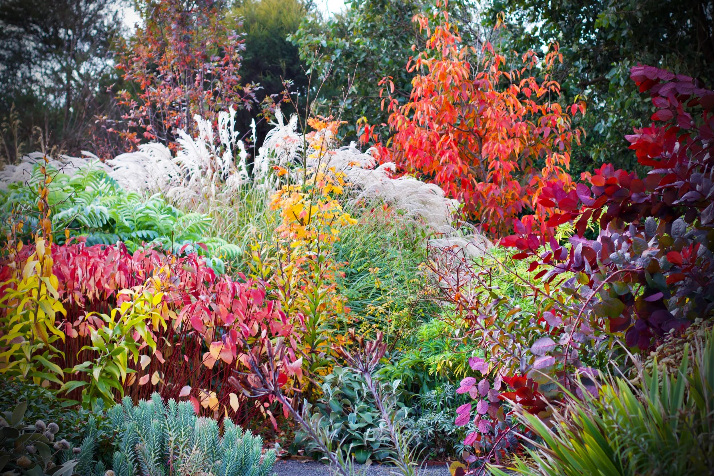 *** For Botanica use only ***