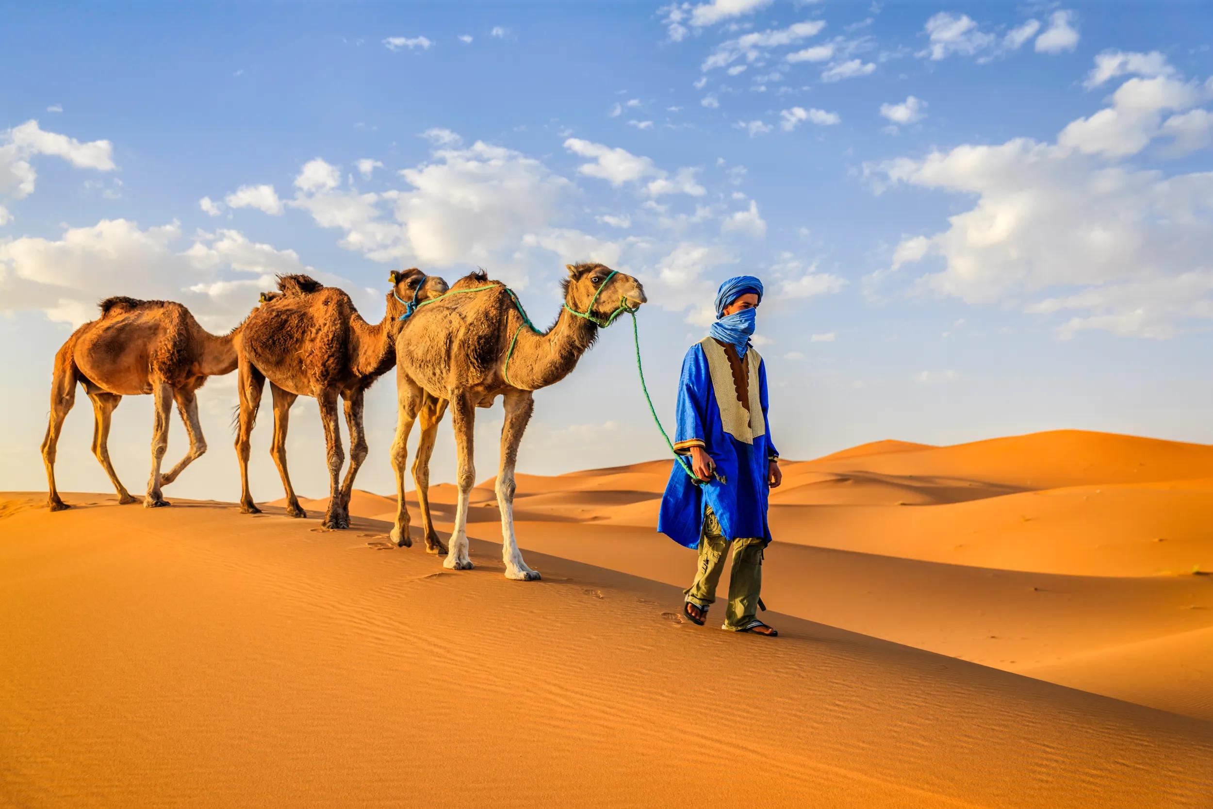 Tuareg with camels on the western part of the Sahara Desert in Morocco. The Sahara Desert is the world's largest hot desert.
