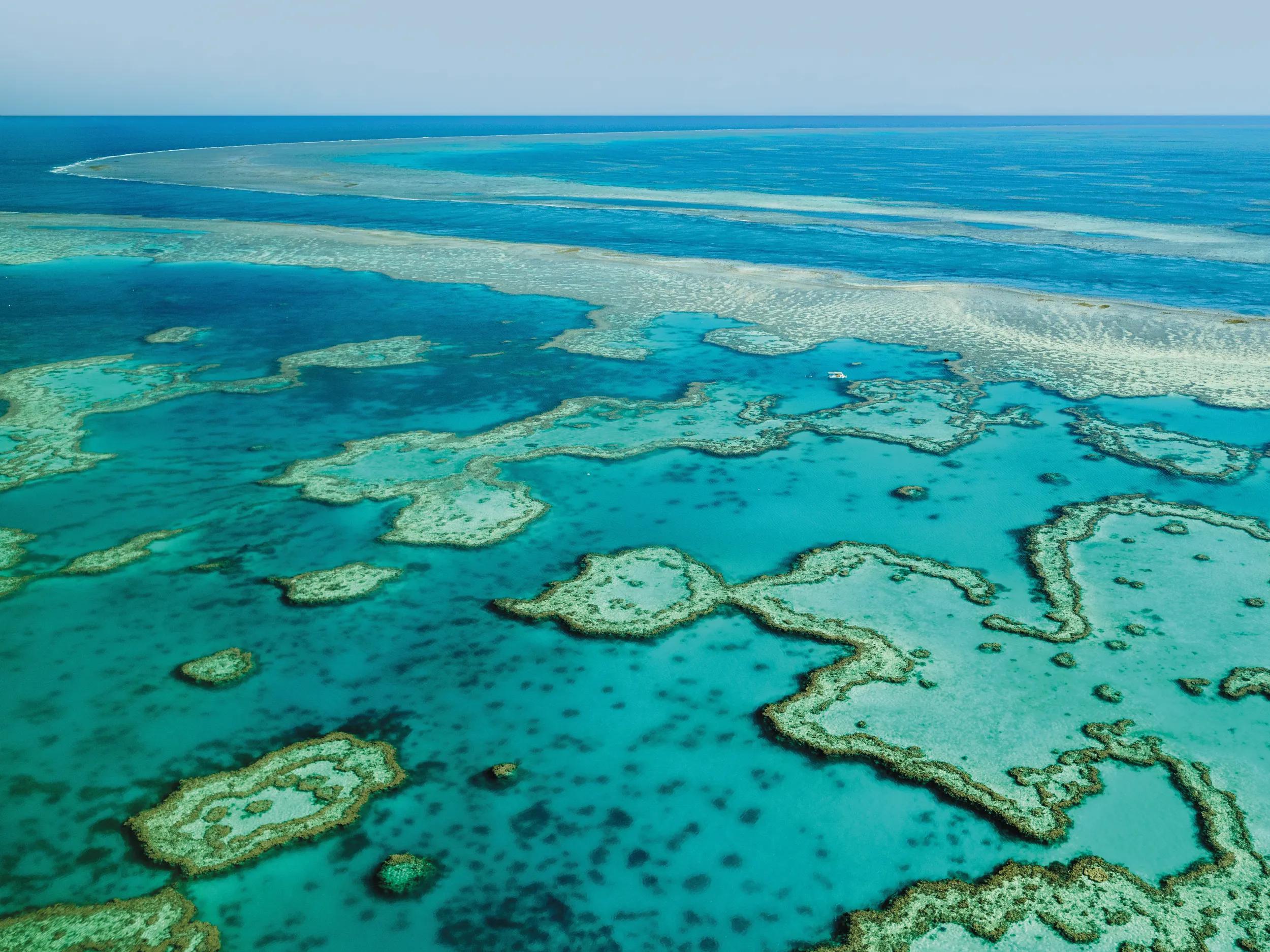 An aerial view of the Great Barrier Reef in Queensland, Australia