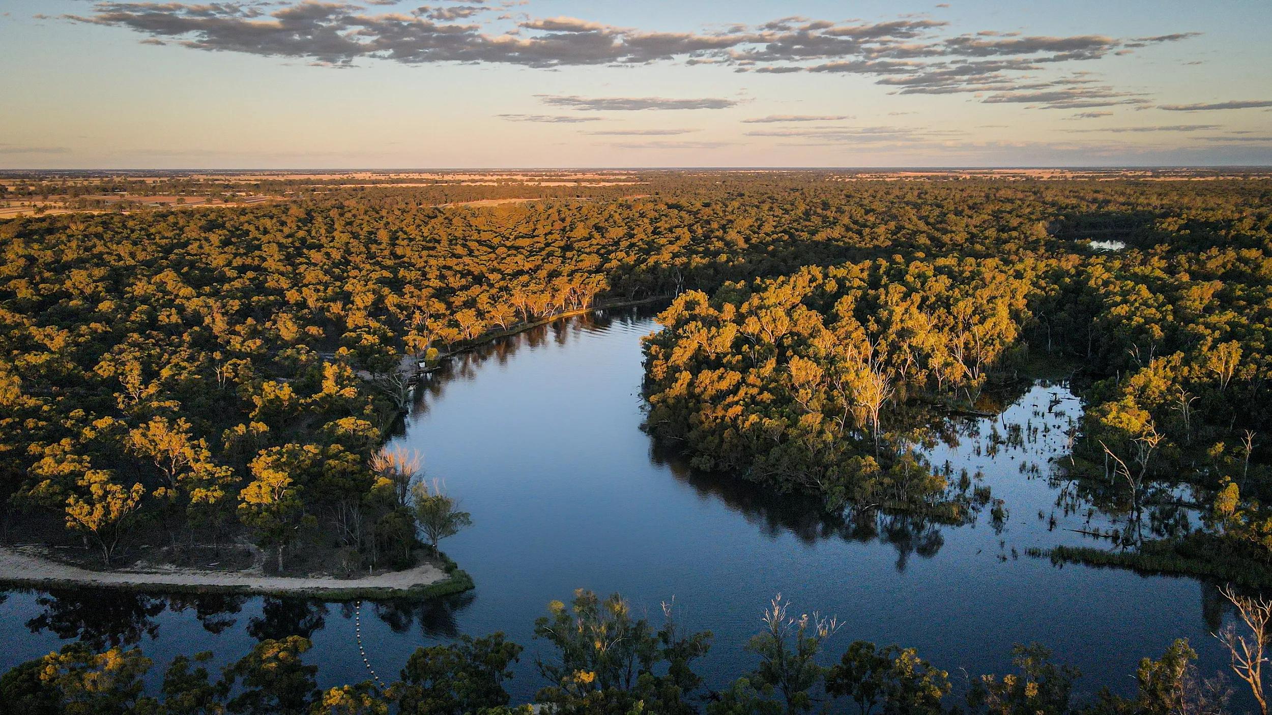 Murray River Cruising