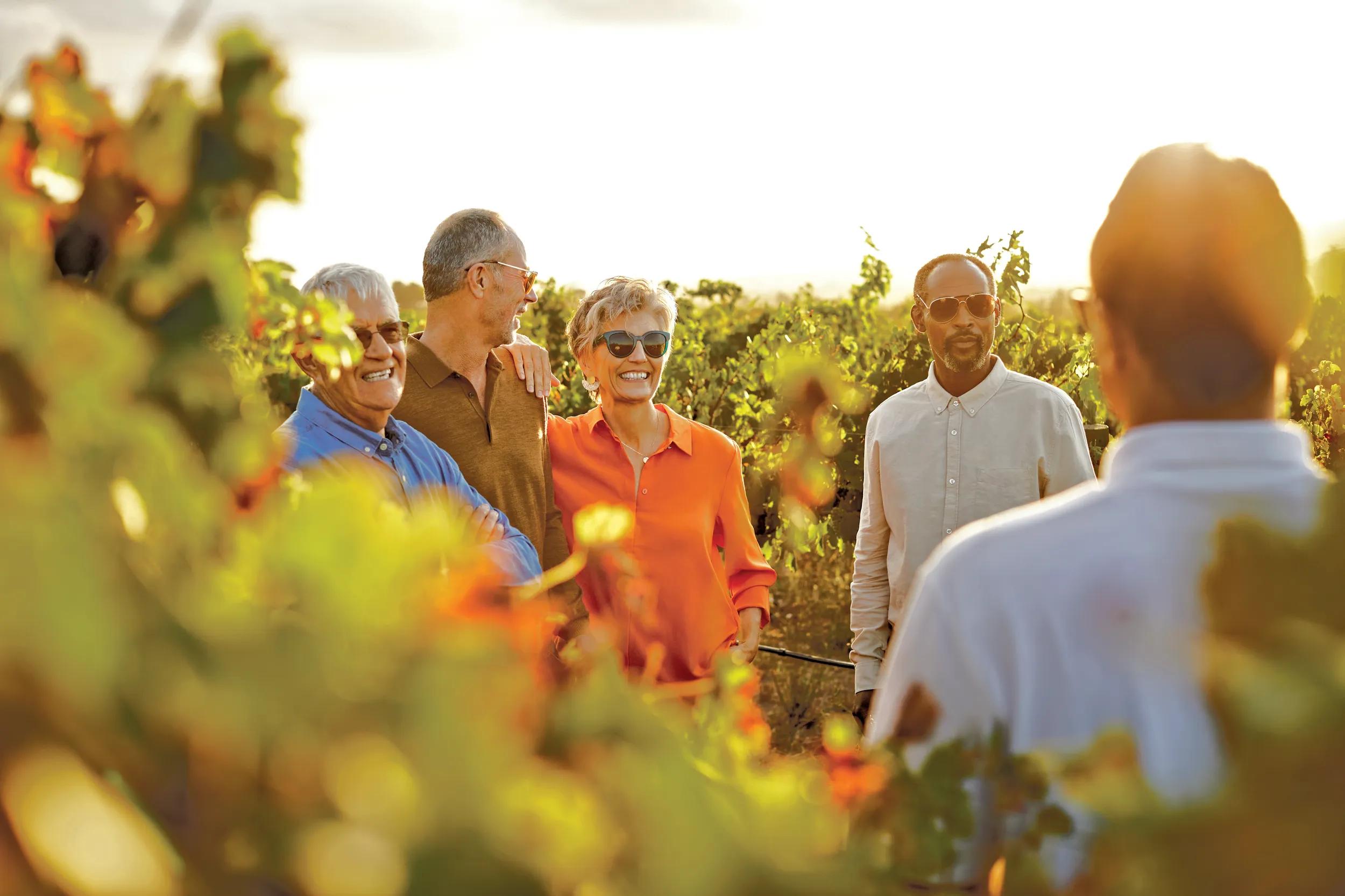 Smiling friends talking to man in vineyard during sunset. Senior males and females are standing in field against sky. They are enjoying wine trip.