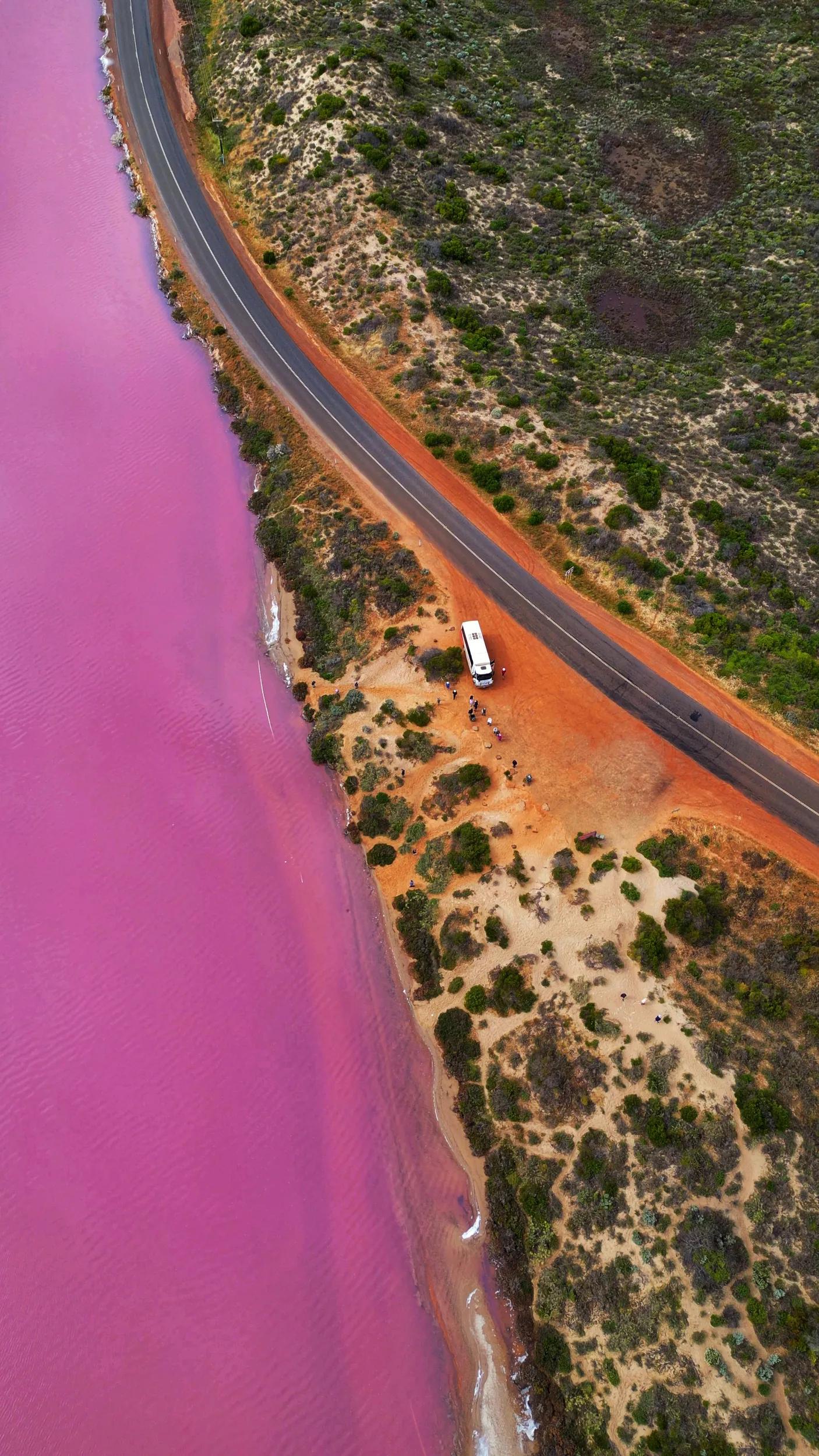 Kimberley 4WD tour, pink lake.