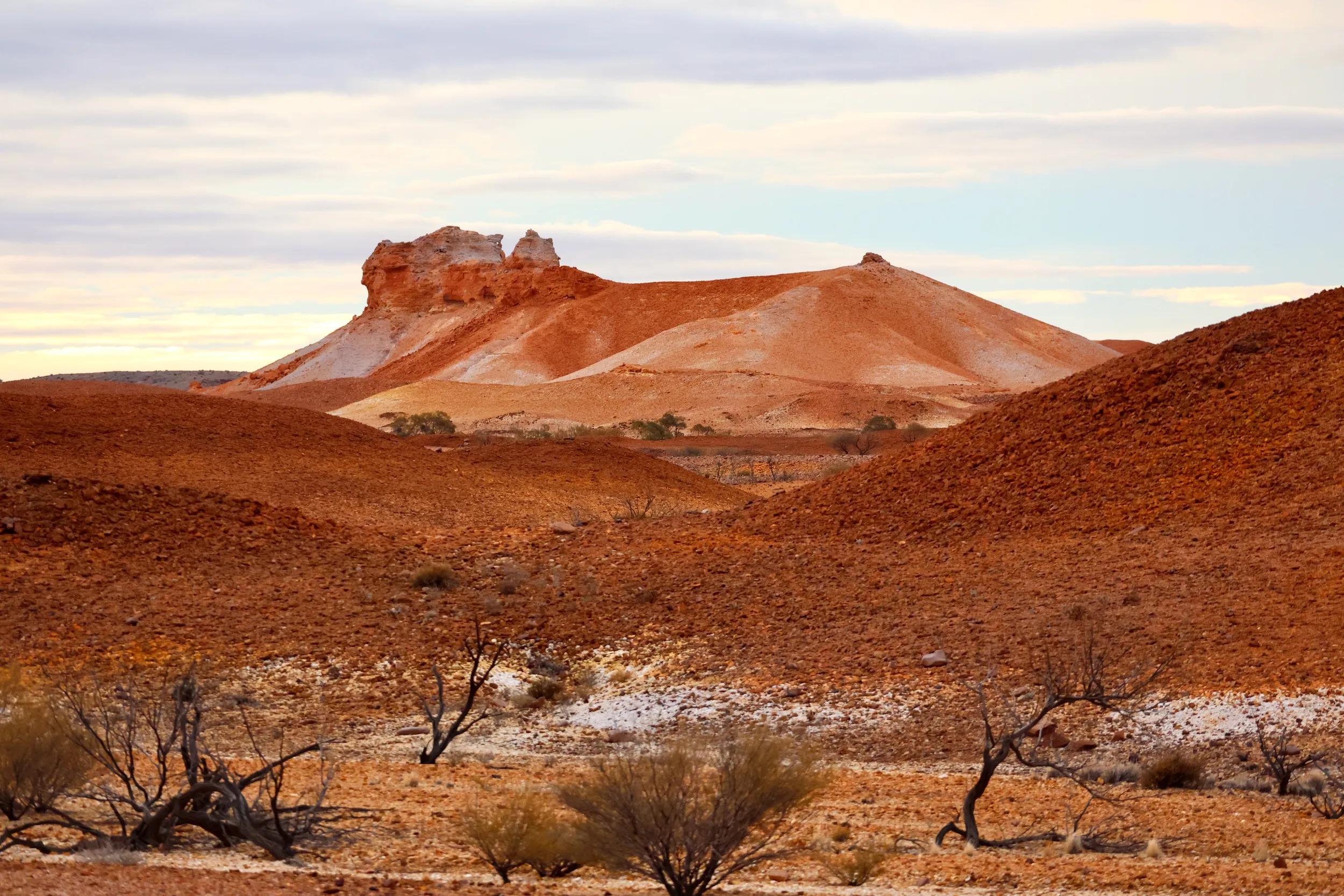 Image provided by guest Wayne Gill for APT digital social and marketing platforms only.