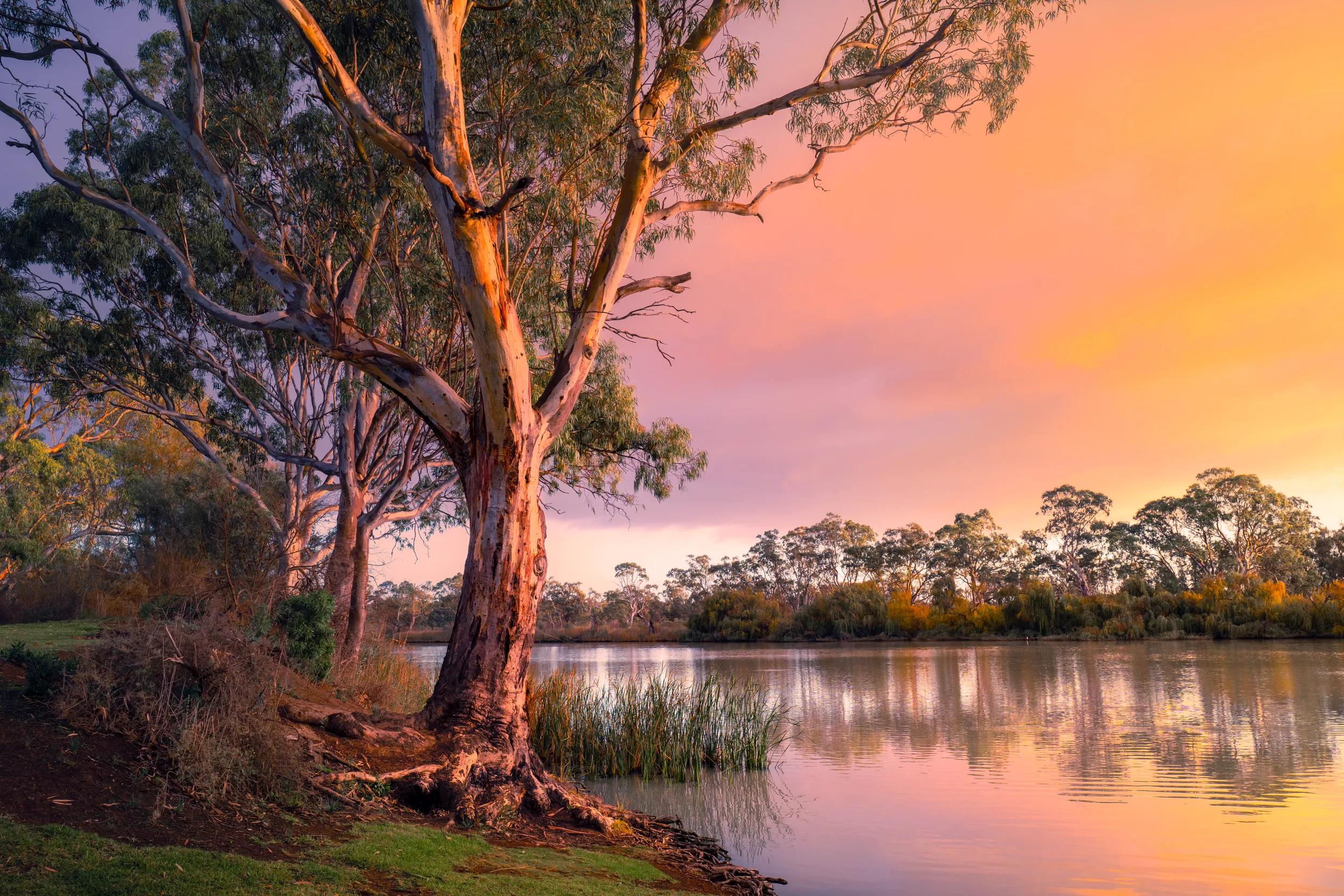 t-au-sa-murray-river-pink-orange-sky-1434856149-g-rf
