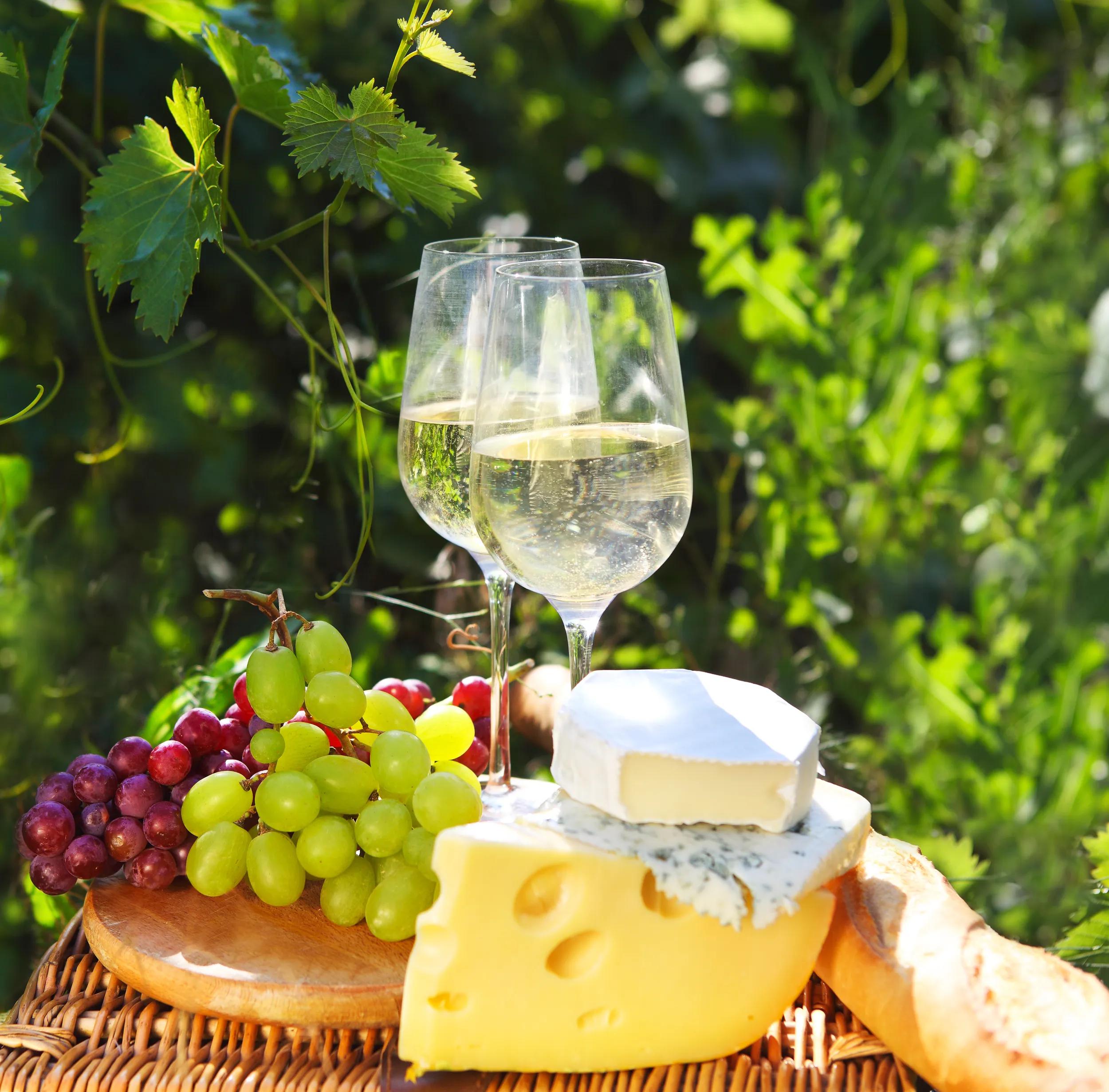 Various sorts of cheese and two glasses of white wine in the vineyard
