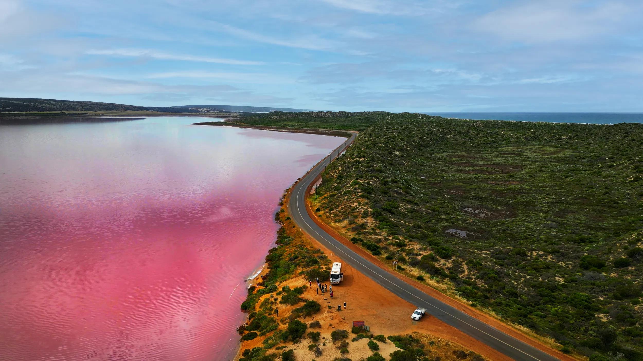 Kimberley 4WD tour, pink lake.