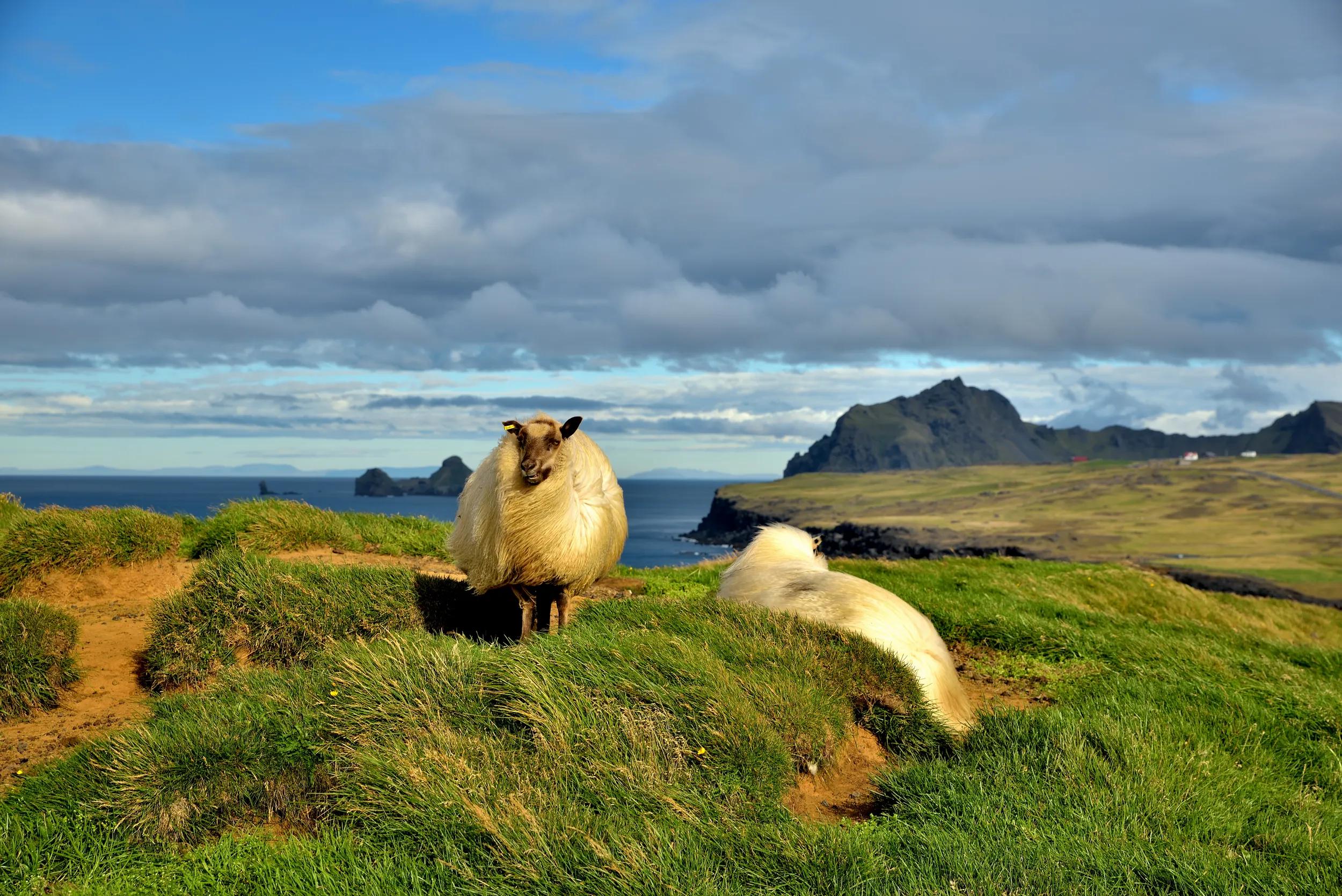 Viking Trails and Rhine and Moselle