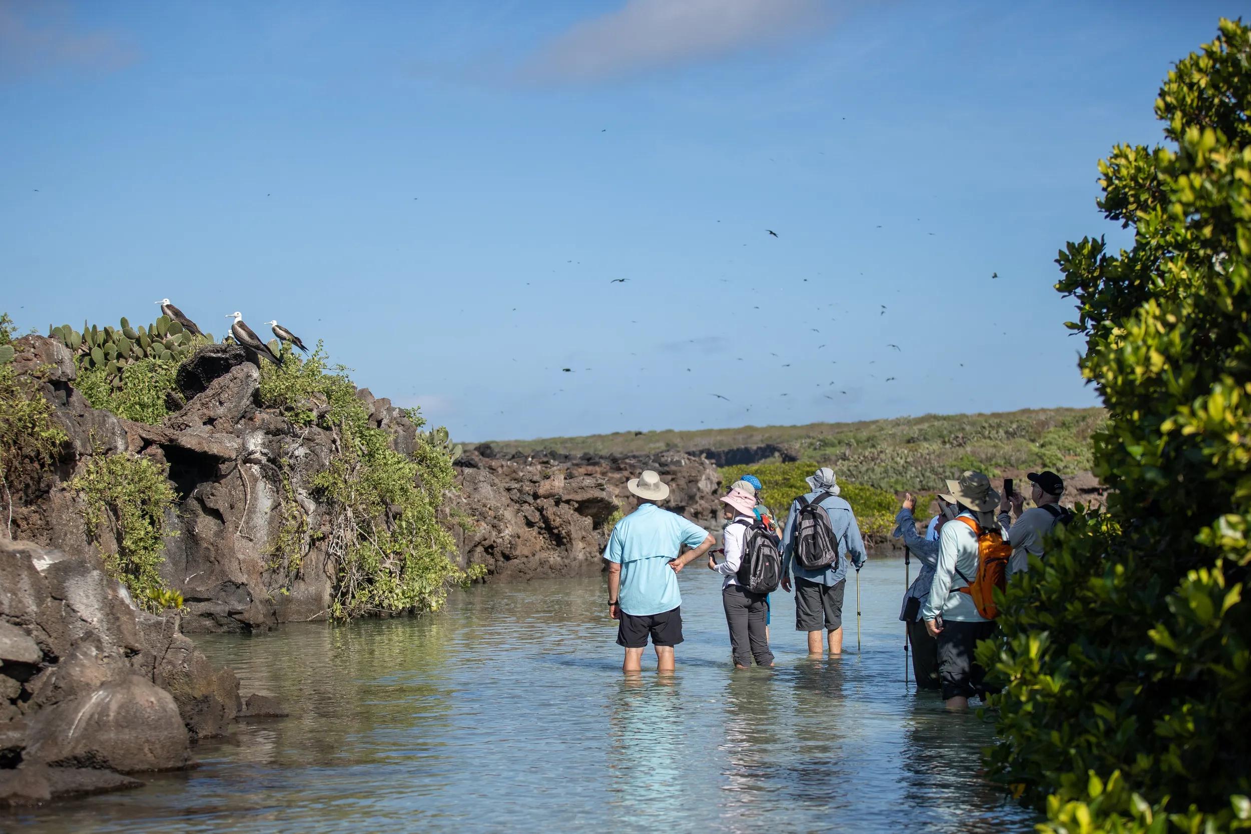 GUESTS ENJOYING THE MORNING AT DARWIN BAY
