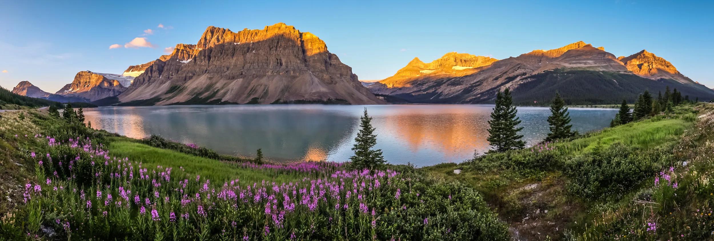 Panorama of sunrise at Bow Lake, Banff National Park