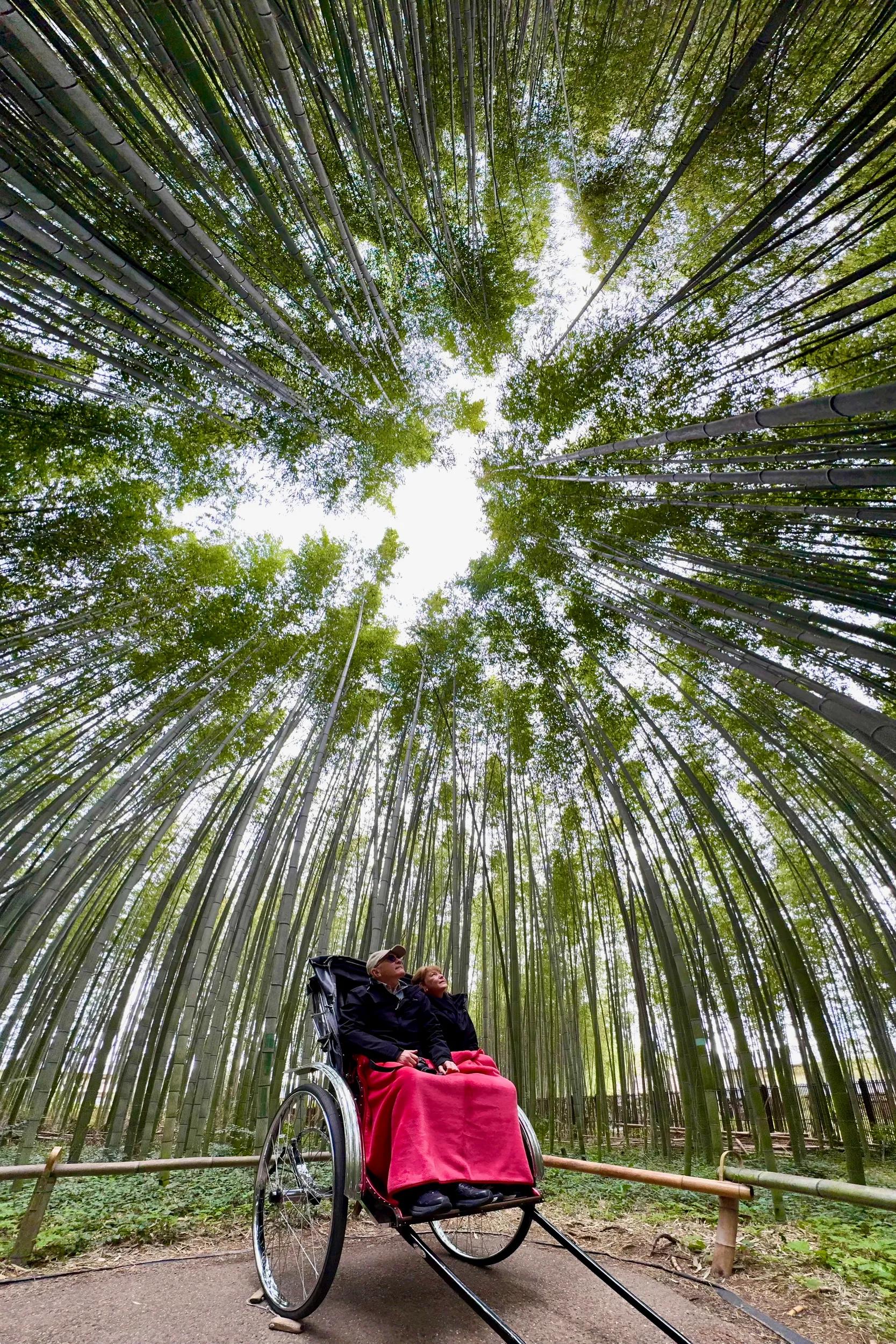 Image provided by guest Wayne Gill for APT digital social and marketing platforms only.