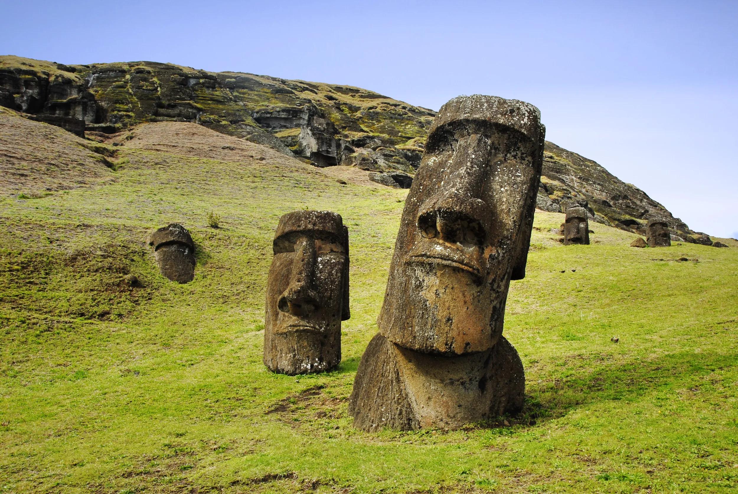 Abandoned moais on the slopes of Rano Raraku