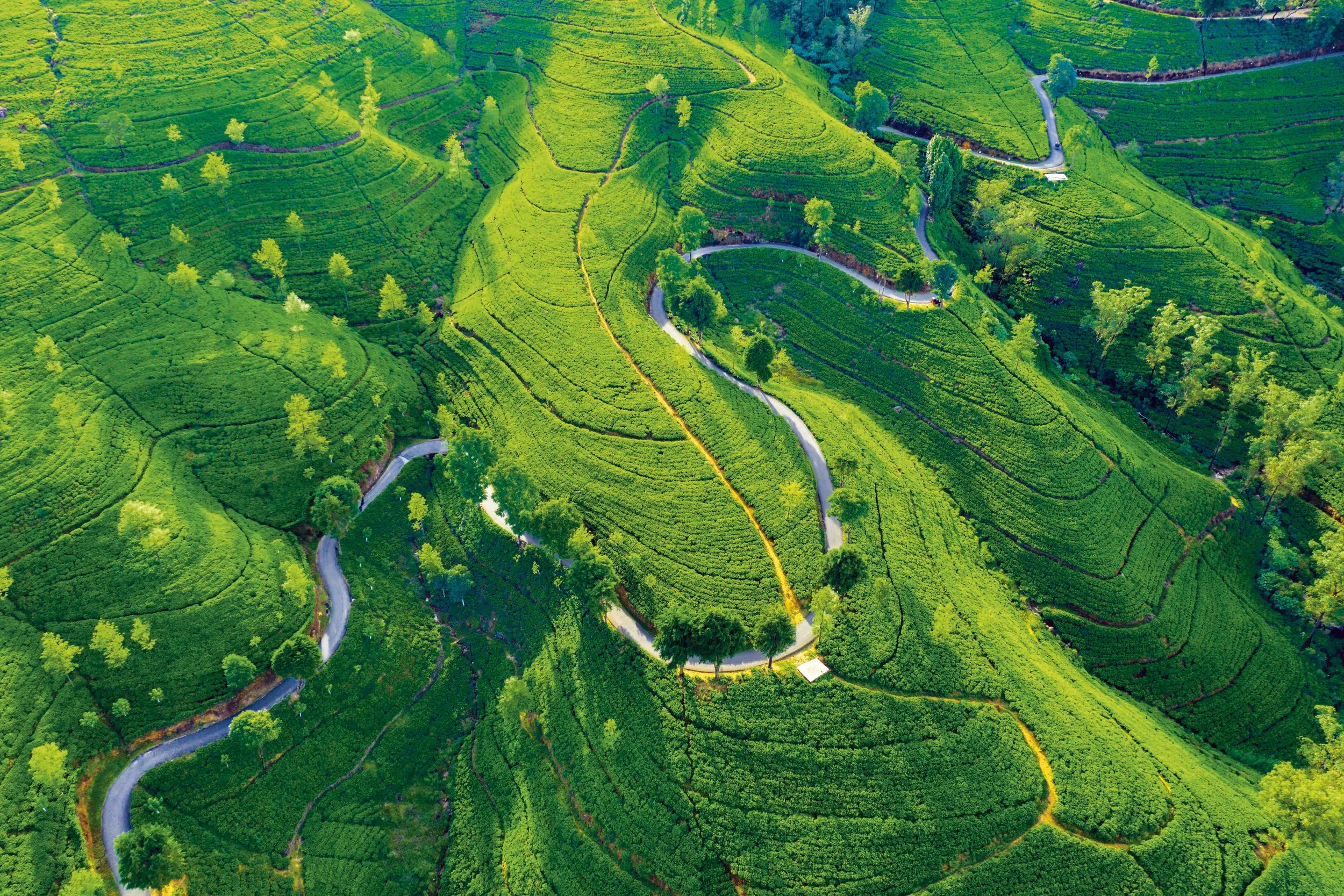 Sri Lanka, formerly Ceylon, island country lying in the Indian Ocean and separated from peninsular India by the Palk Strait.