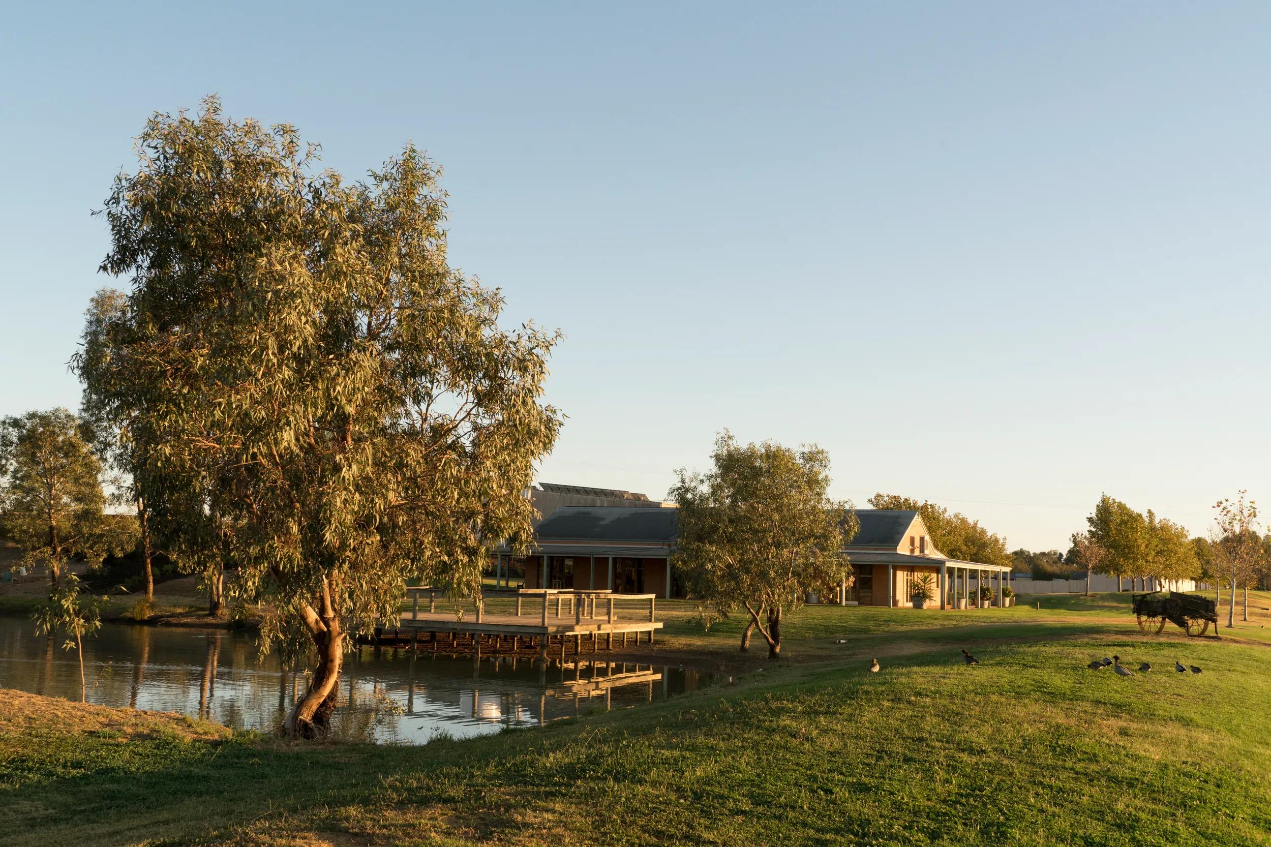 Scenic country surrounding St. Anne's Winery, Moama.