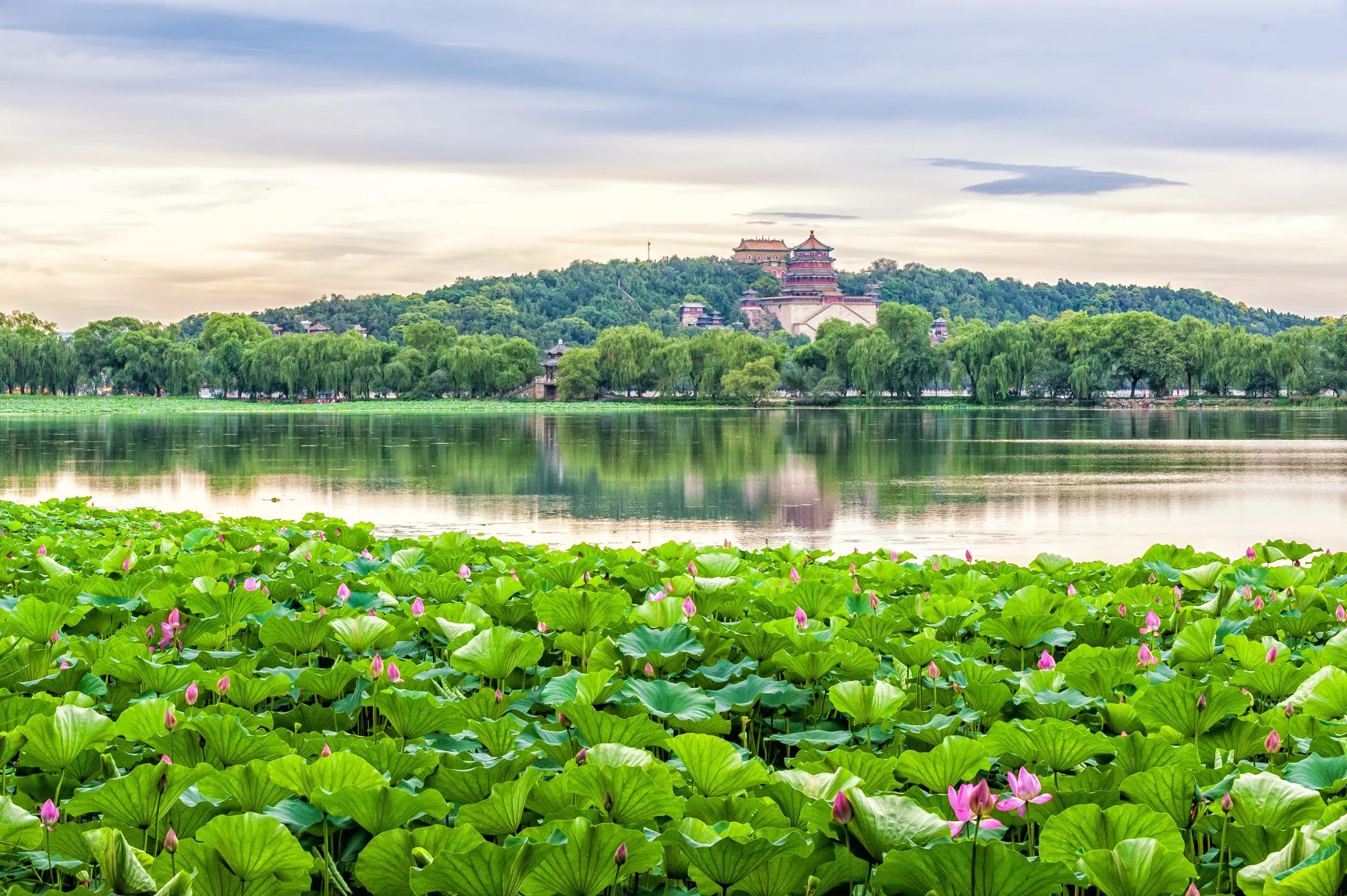 The Summer palace with lotus flower under the sunset in Beijing.
