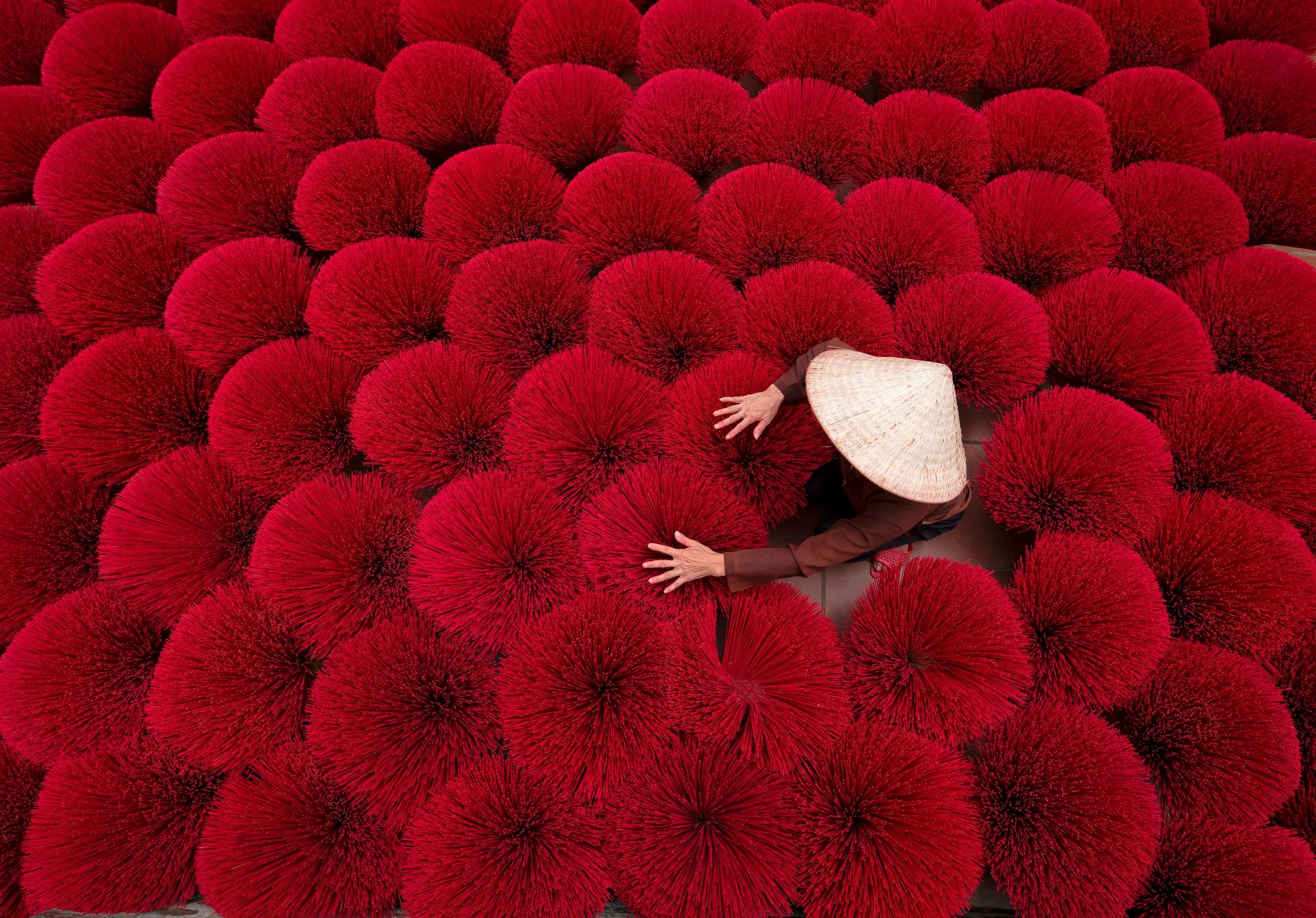 Women in a village in northern Vietnam Bringing the incense to dry For use according to the Chinese New Year.