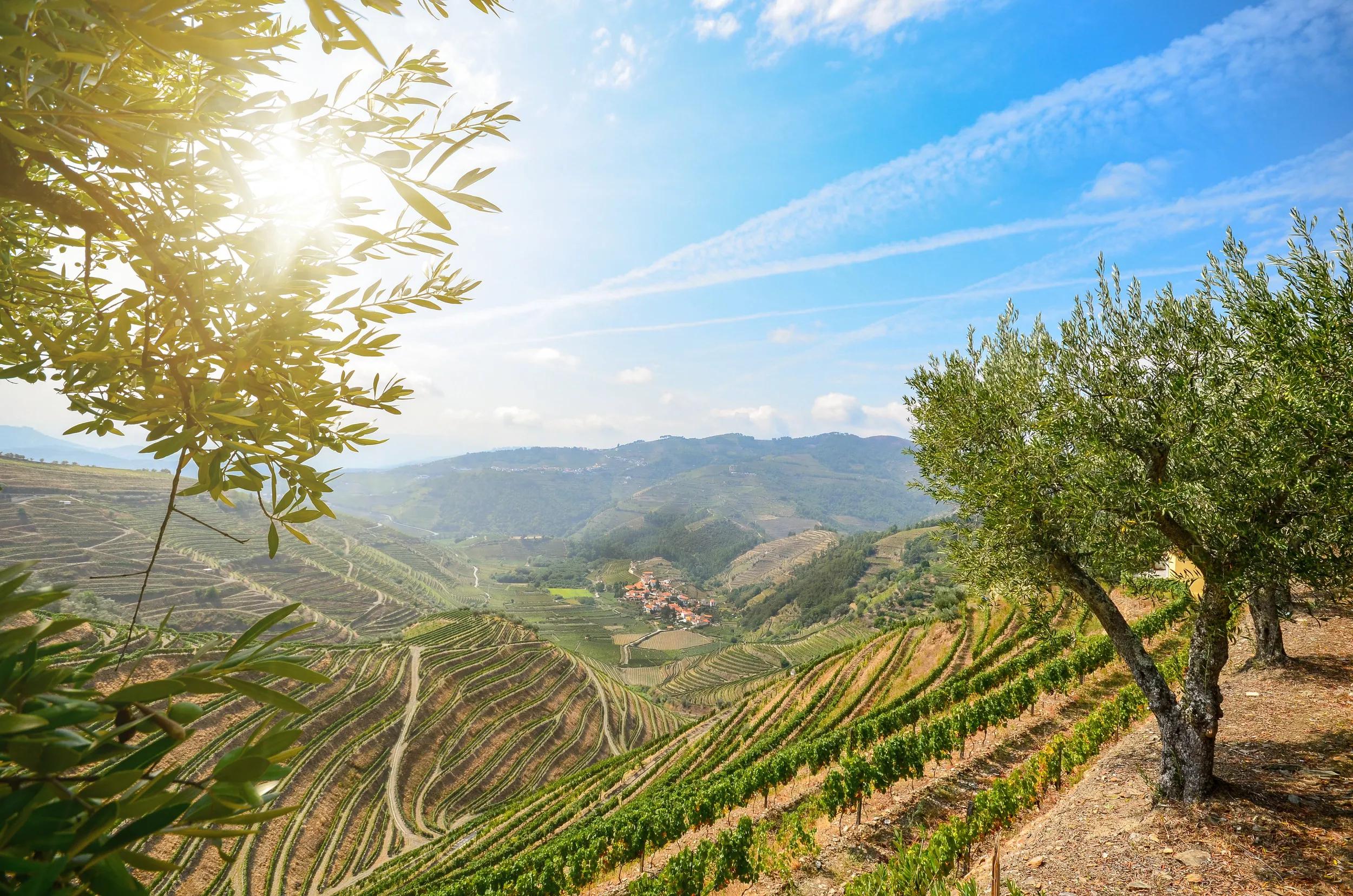 a-eu-portugal-pinhao-douro-valley-903548410-g-rf