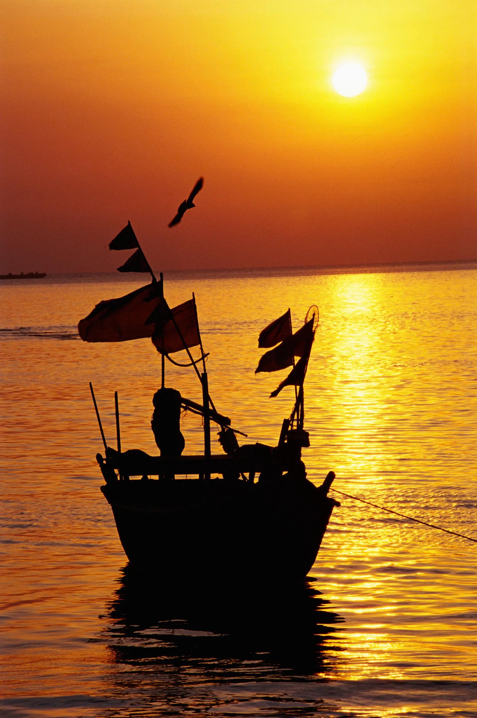 A fishing boat is generally called a fishing vessel. Depending on size and fishing method, they are often referred to as trawlers, liners, or seiners. Common types include trawlers (nets), draggers, longliners, and smaller vessels like dories, skiffs, or dinghies.