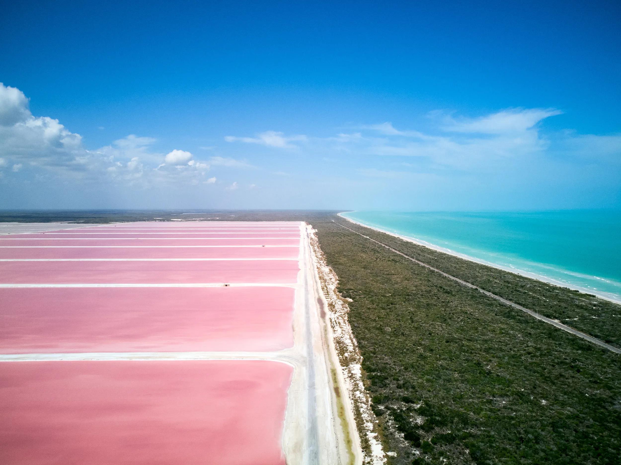 Las Coloradas Pink lake , Mexico . Drone. High quality photo
