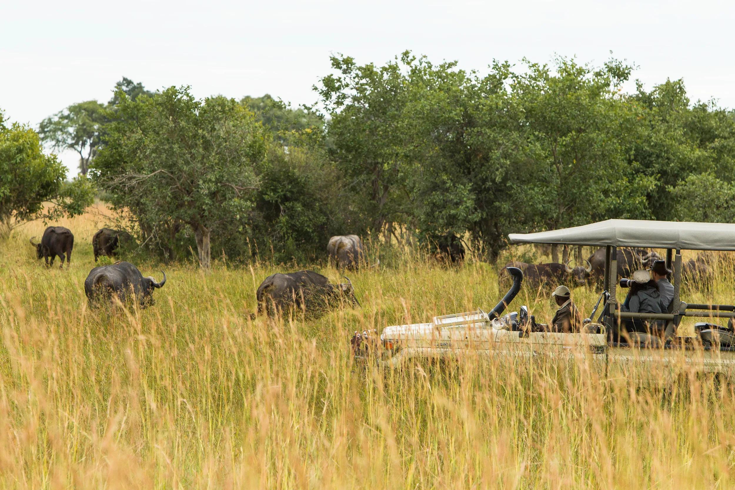 Sediba Sa Rona Safari Lodge