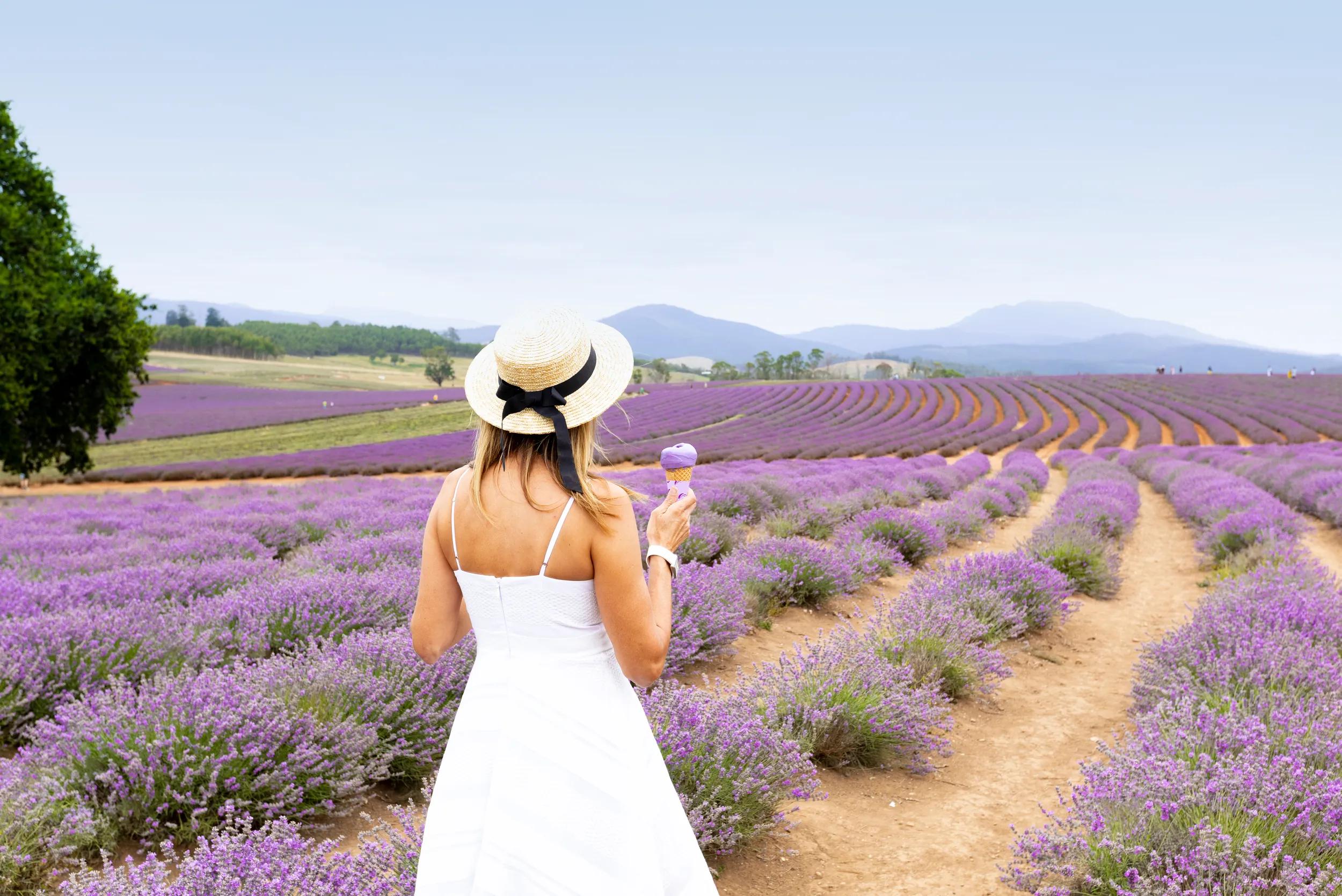 Women in a white dress and hat standing eating a lavender ice cream in a lavender field