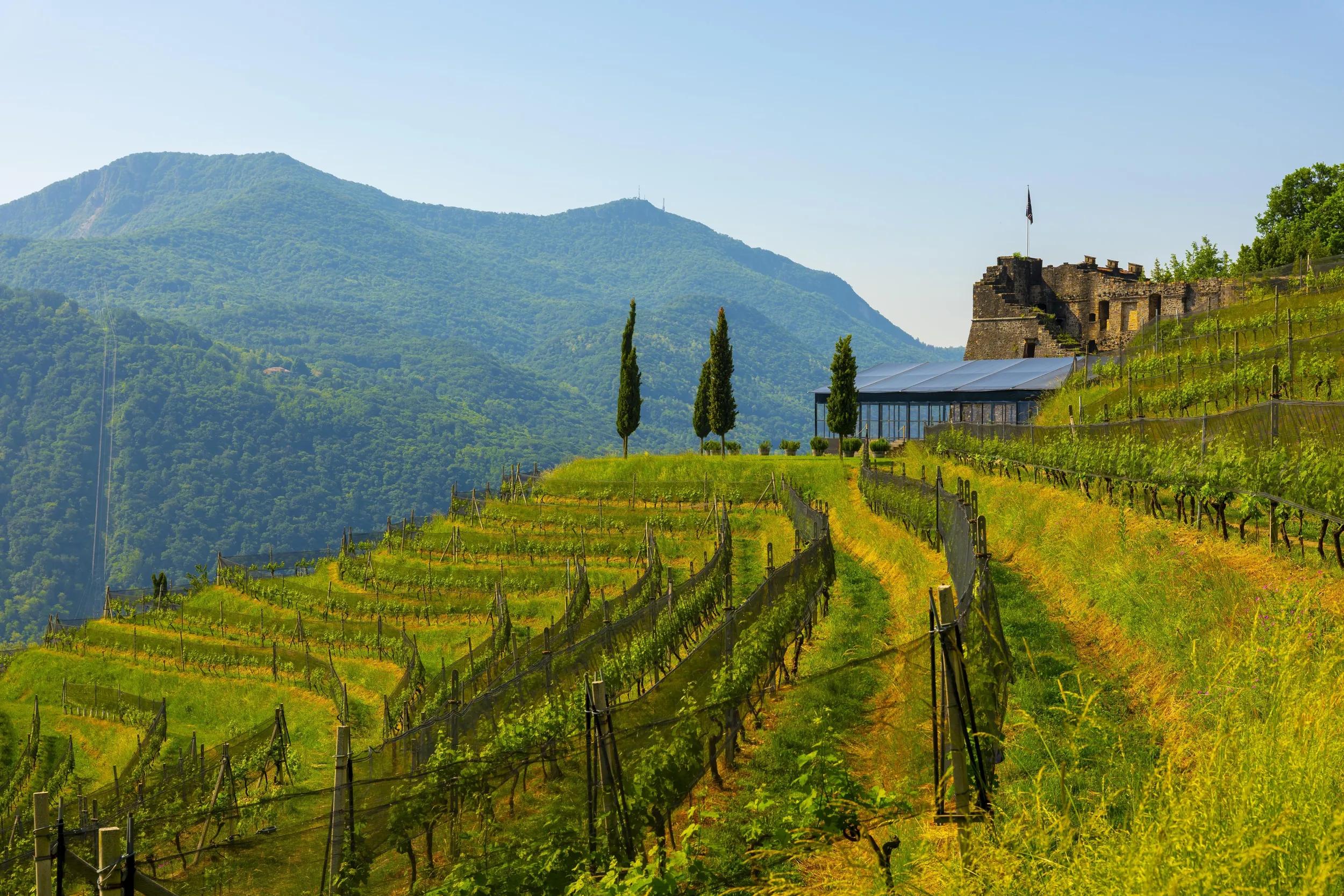 a-eu-switzerland-morcote-tenuta-castello-di-morcote-vineyards-1522508339-g-rf