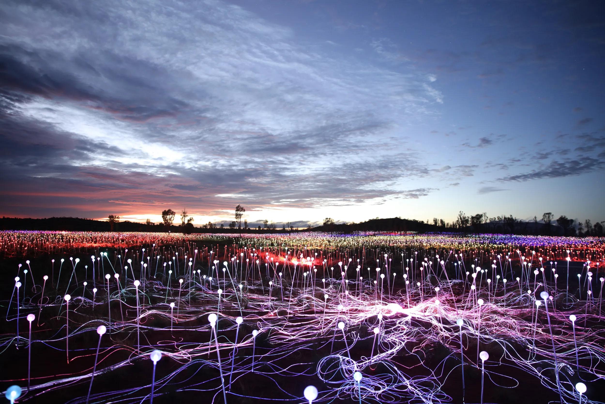 Field of Light, Uluru, Bruce Munro 2016 Photo by: Mark Pickthall