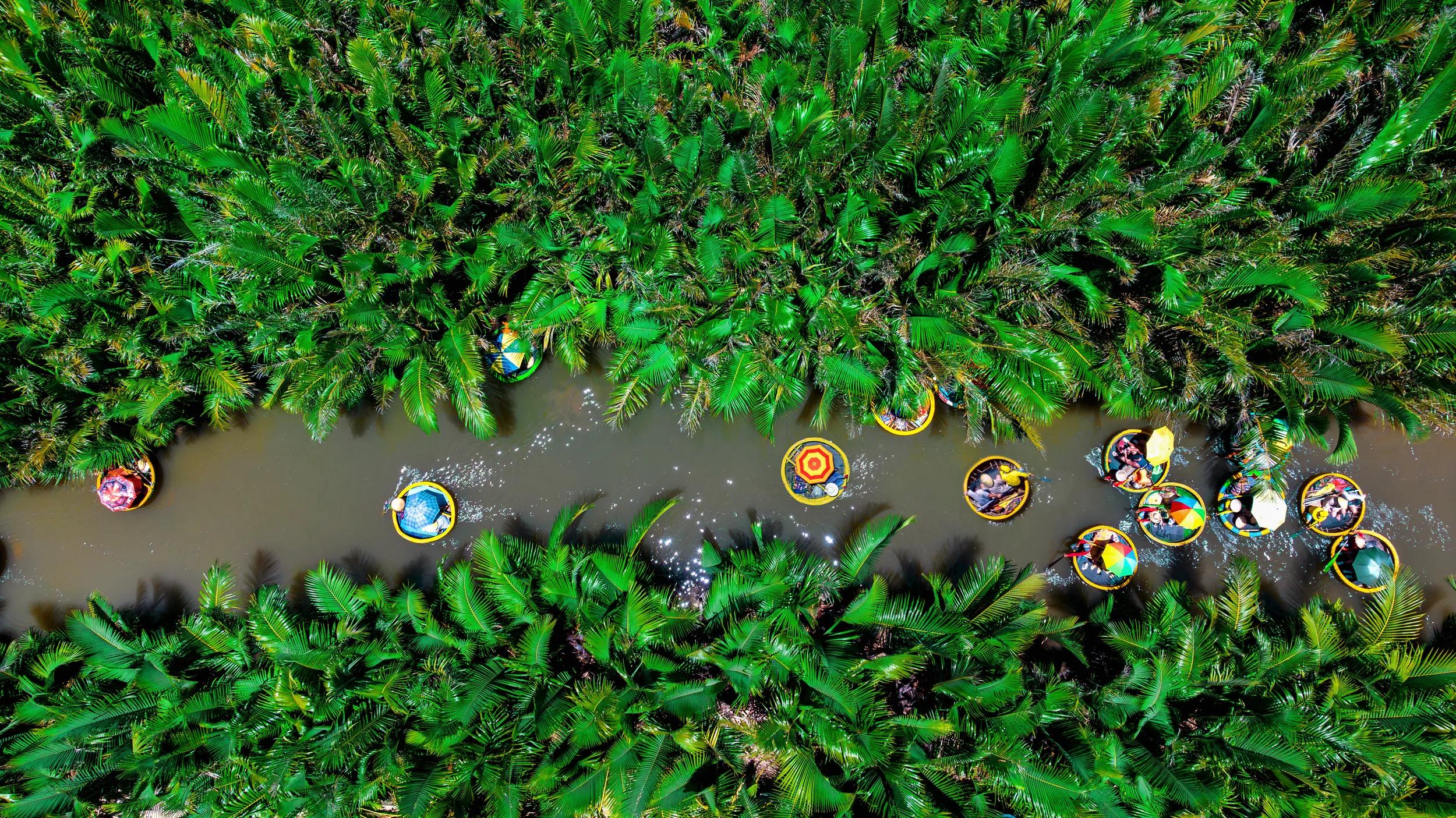 Overhead view of Bamboo Basket Boats on Thu Bon River, Coconut village eco tour in Hoi An, Vietnam.