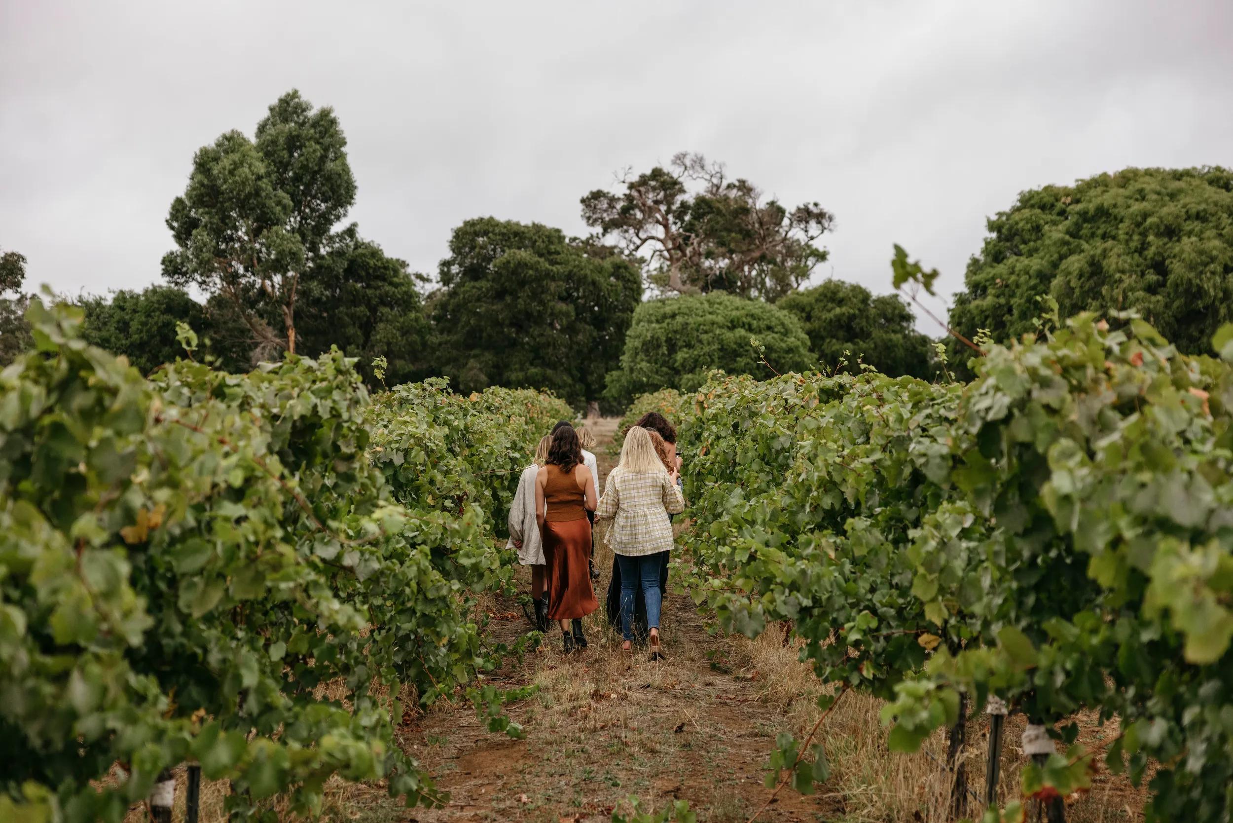 Organic Farm & Vineyard Tour at Windows Estate