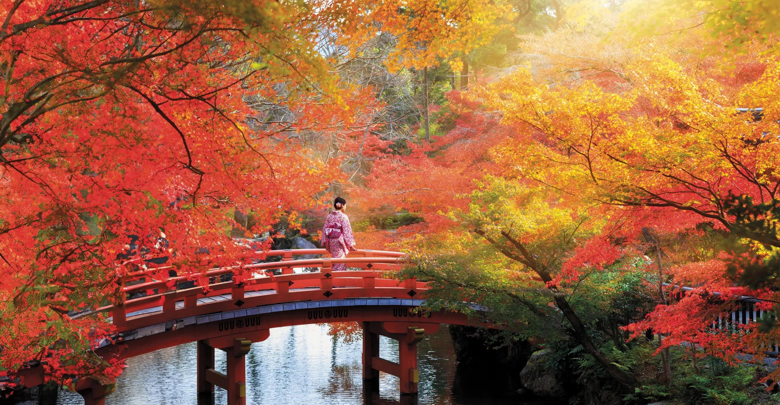 Wooden bridge in the autumn park, Japan autumn season, Kyoto Japan